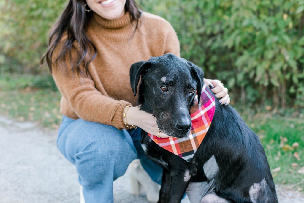 acton_arboretum_fall_dog_photos_erica_pezente_photography(4).jpg