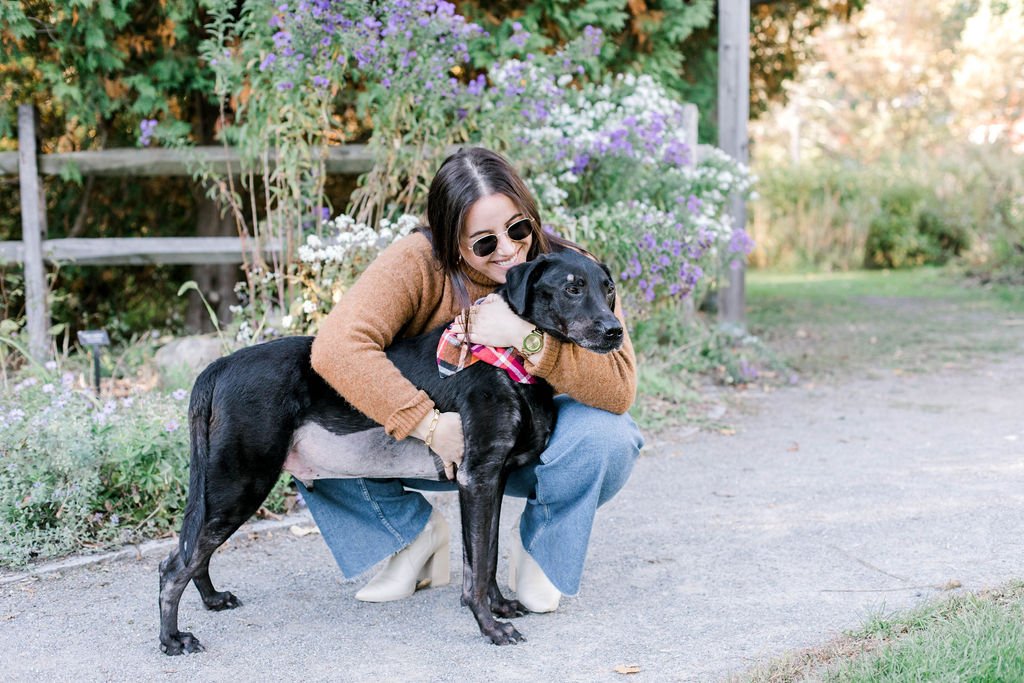 acton_arboretum_fall_dog_photos_erica_pezente_photography(44).jpg