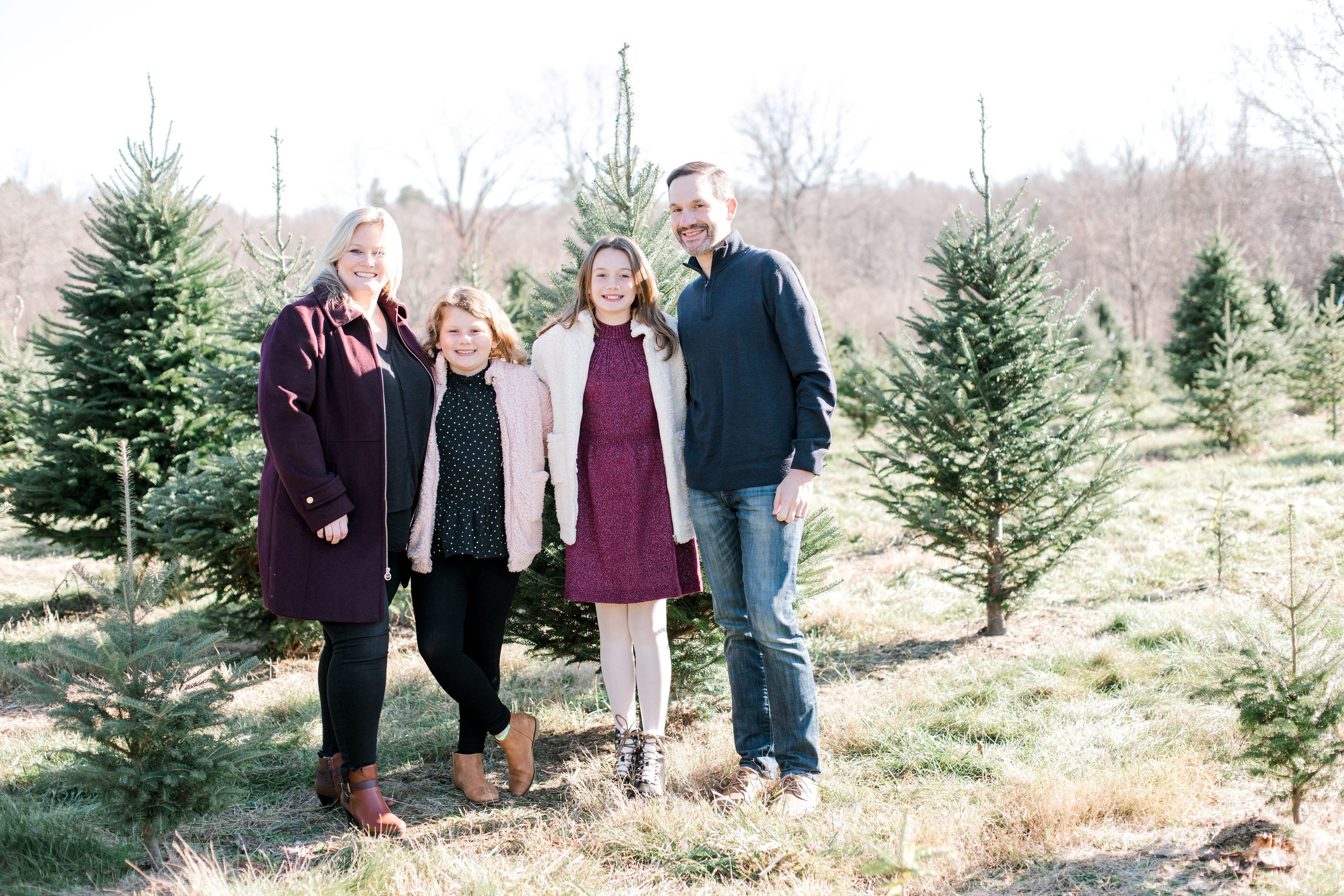 highfields_tree_farm_gafton_christmas_photos_erica_pezente_photography(17).jpg