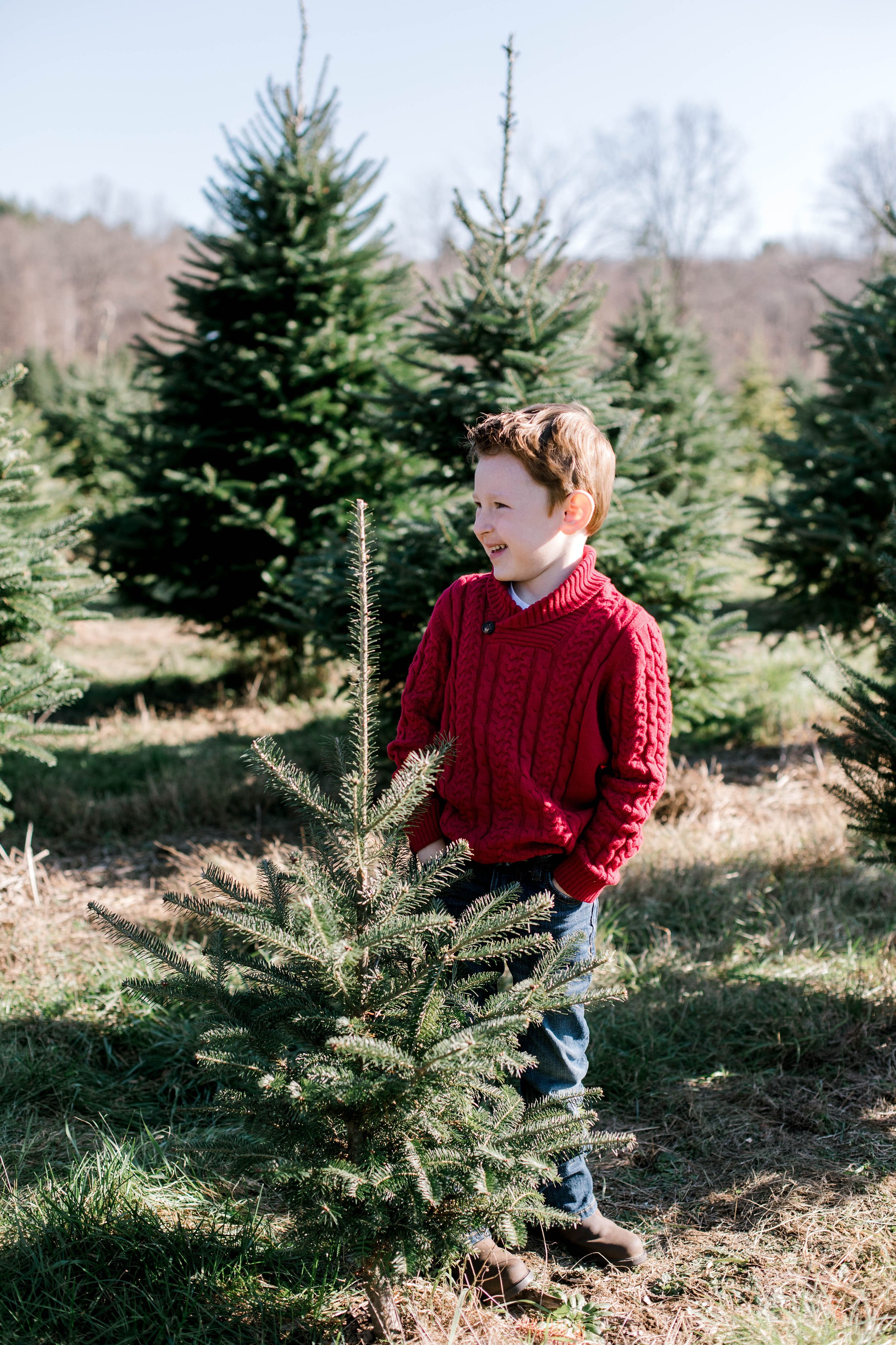 highfields_tree_farm_gafton_christmas_photos_erica_pezente_photography(7) (1).jpg