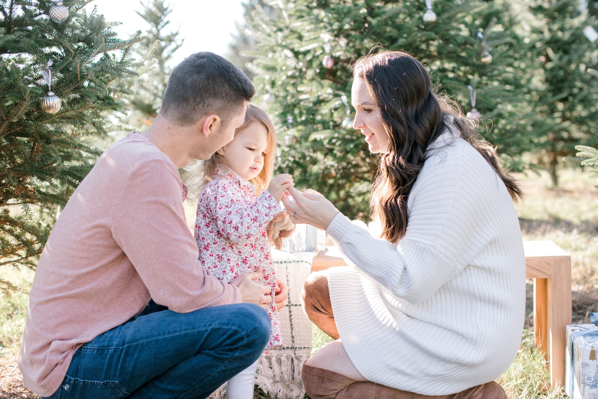 highfields_tree_farm_gafton_christmas_photos_erica_pezente_photography(20).jpg