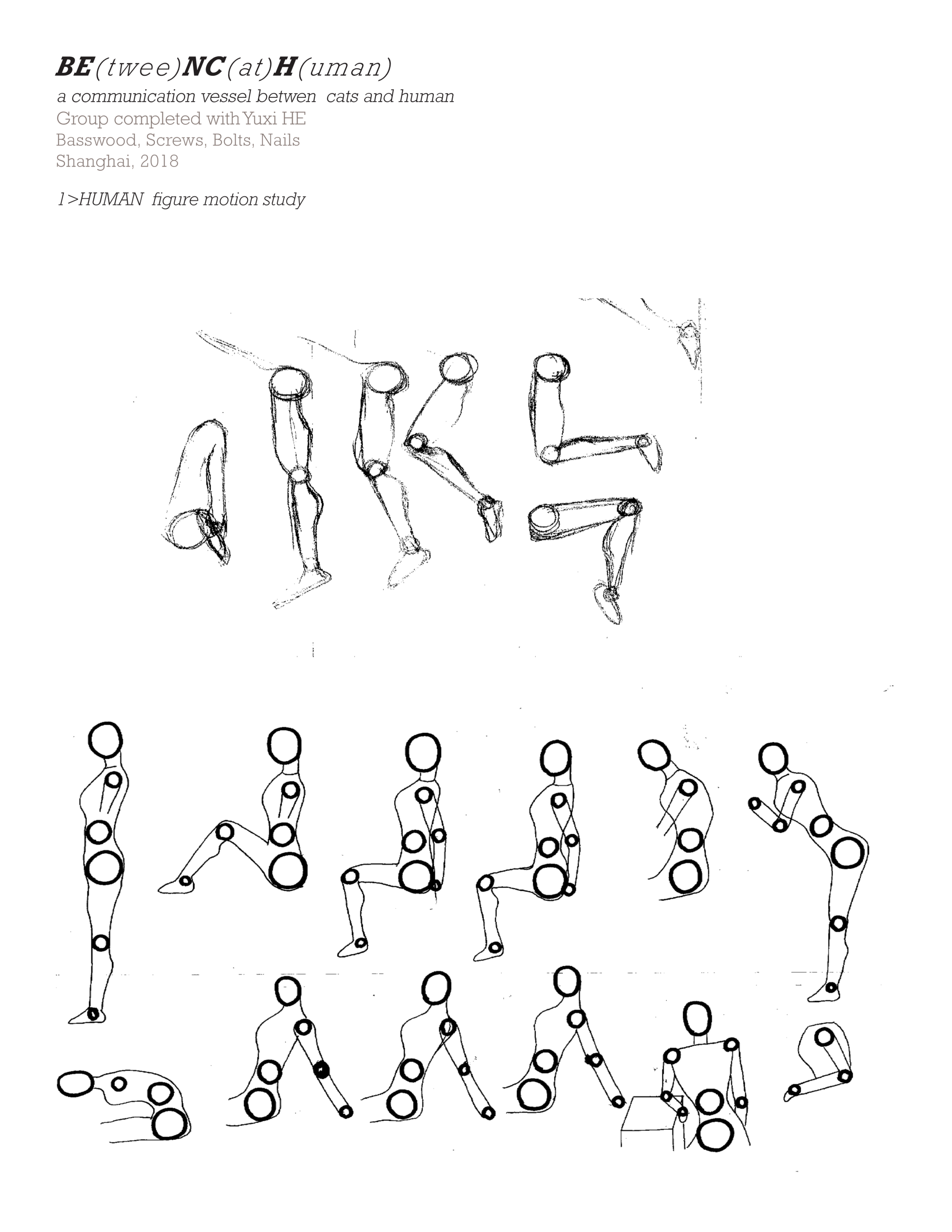 tianyi'S PORTFOLIO third draft 26-1.png