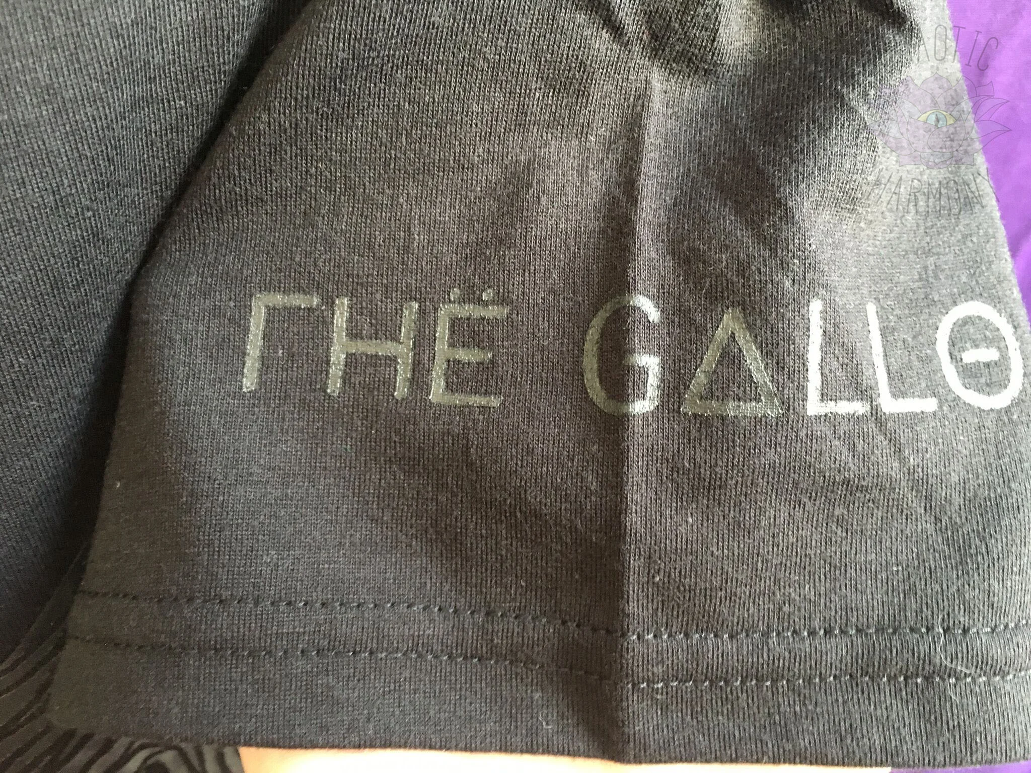 gallo tshirt sleeve wm.jpg