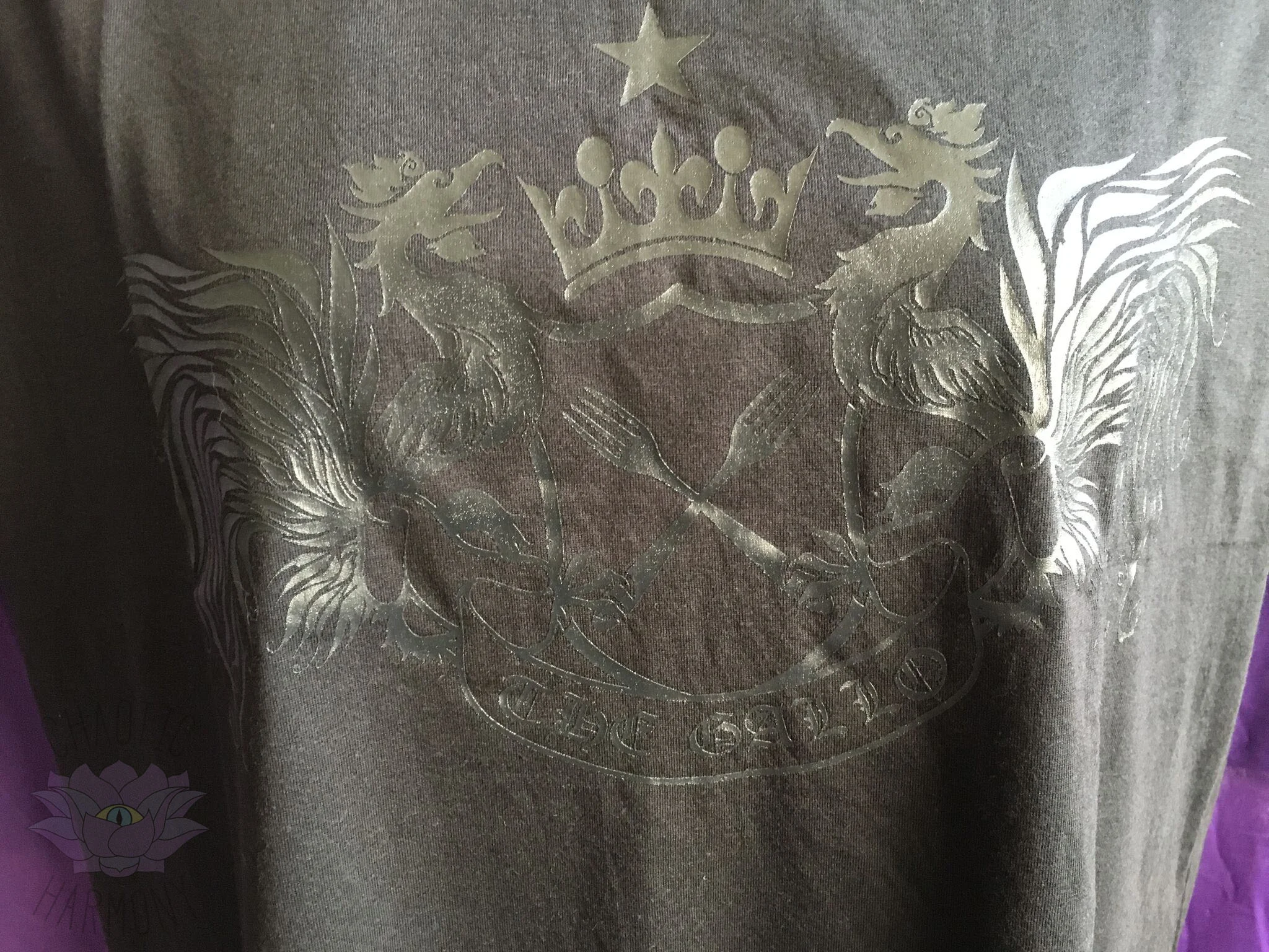 gallo tshirt close wm.jpg