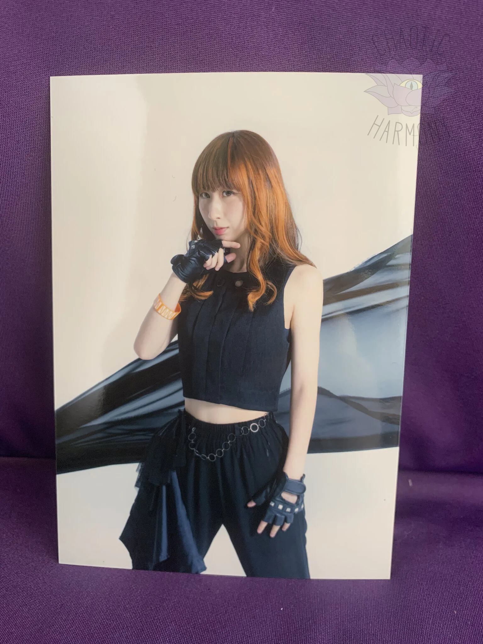 bbts photoset A 4 wm.jpg