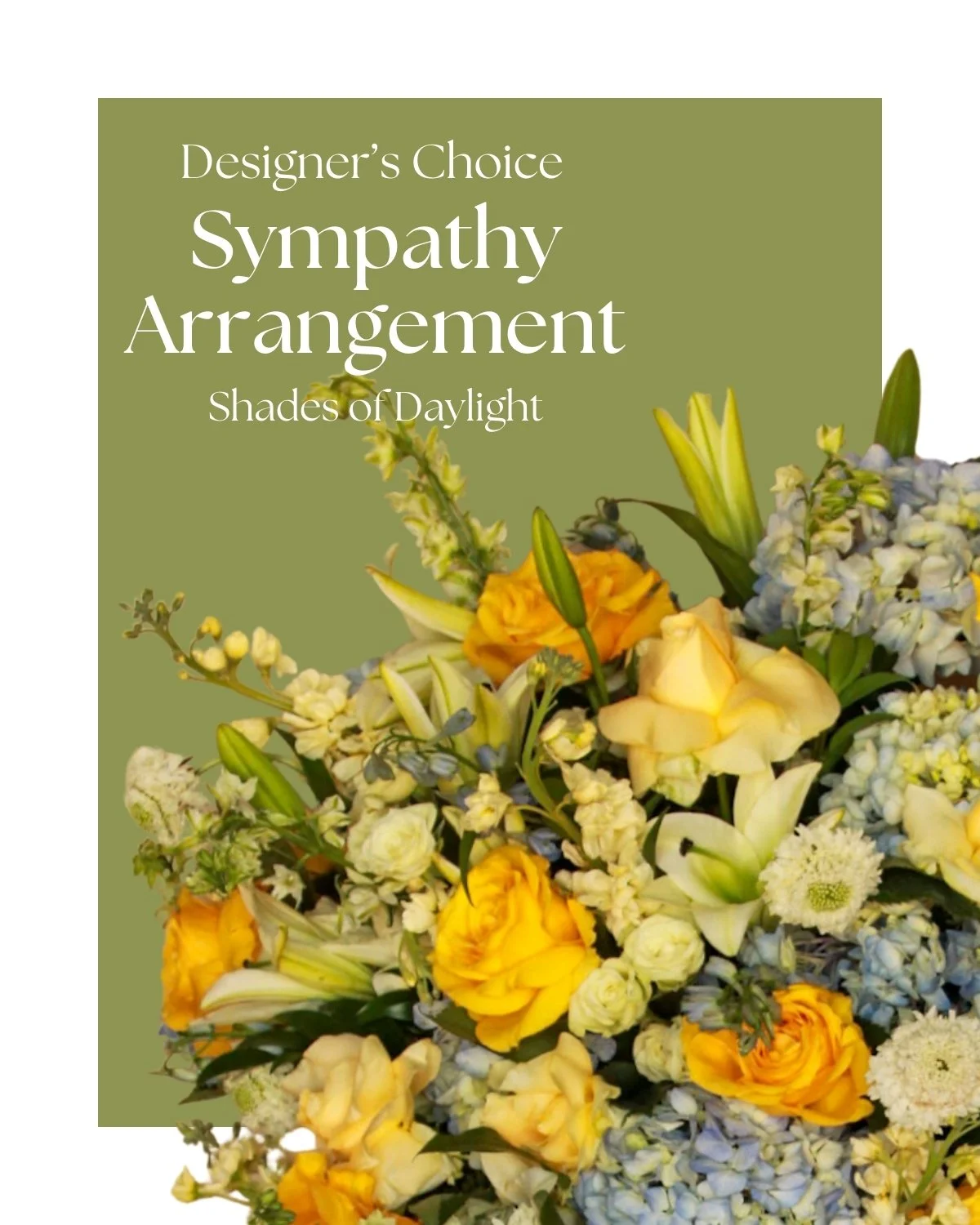 Designer's Choice - Daylight Arrangement