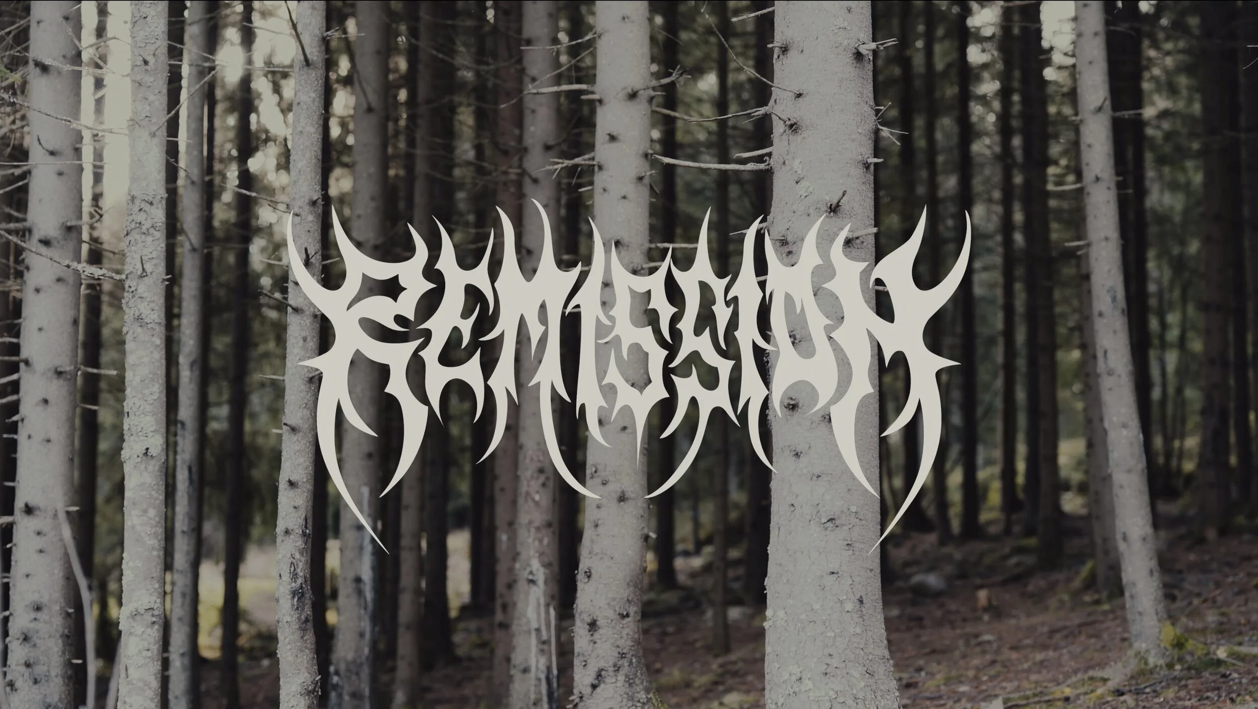 LUMINÆRIES | The Making Of Polar Similar