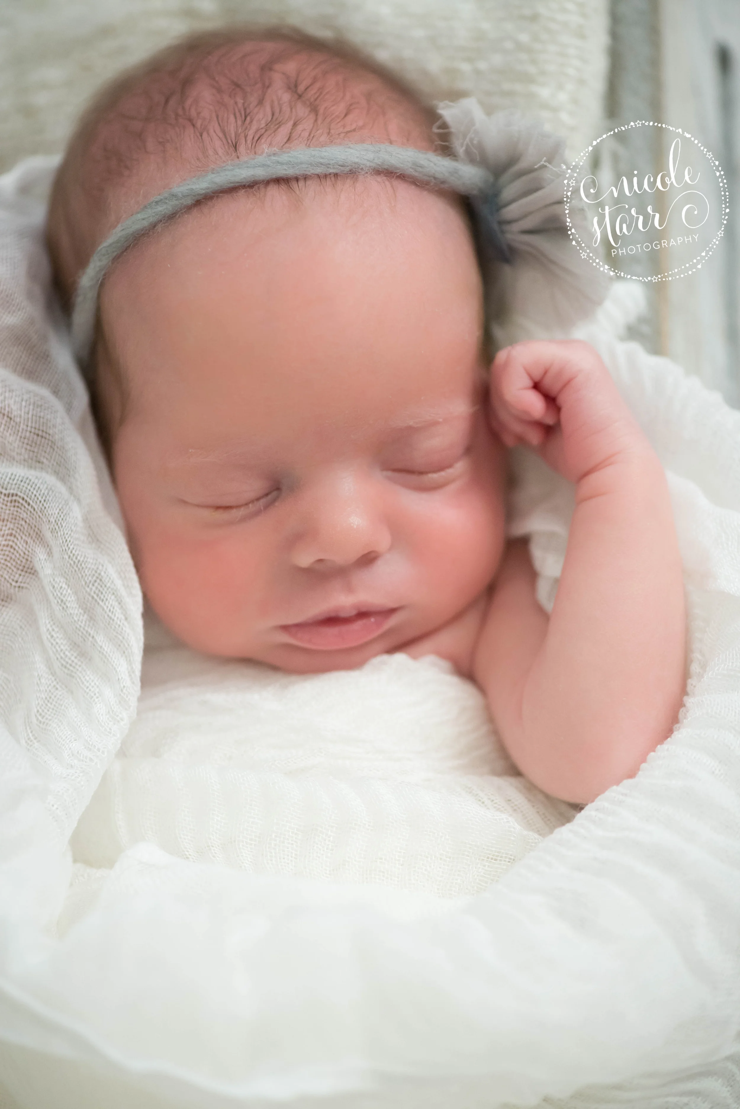 Nicole Starr Photographer | Boston newborn photographer