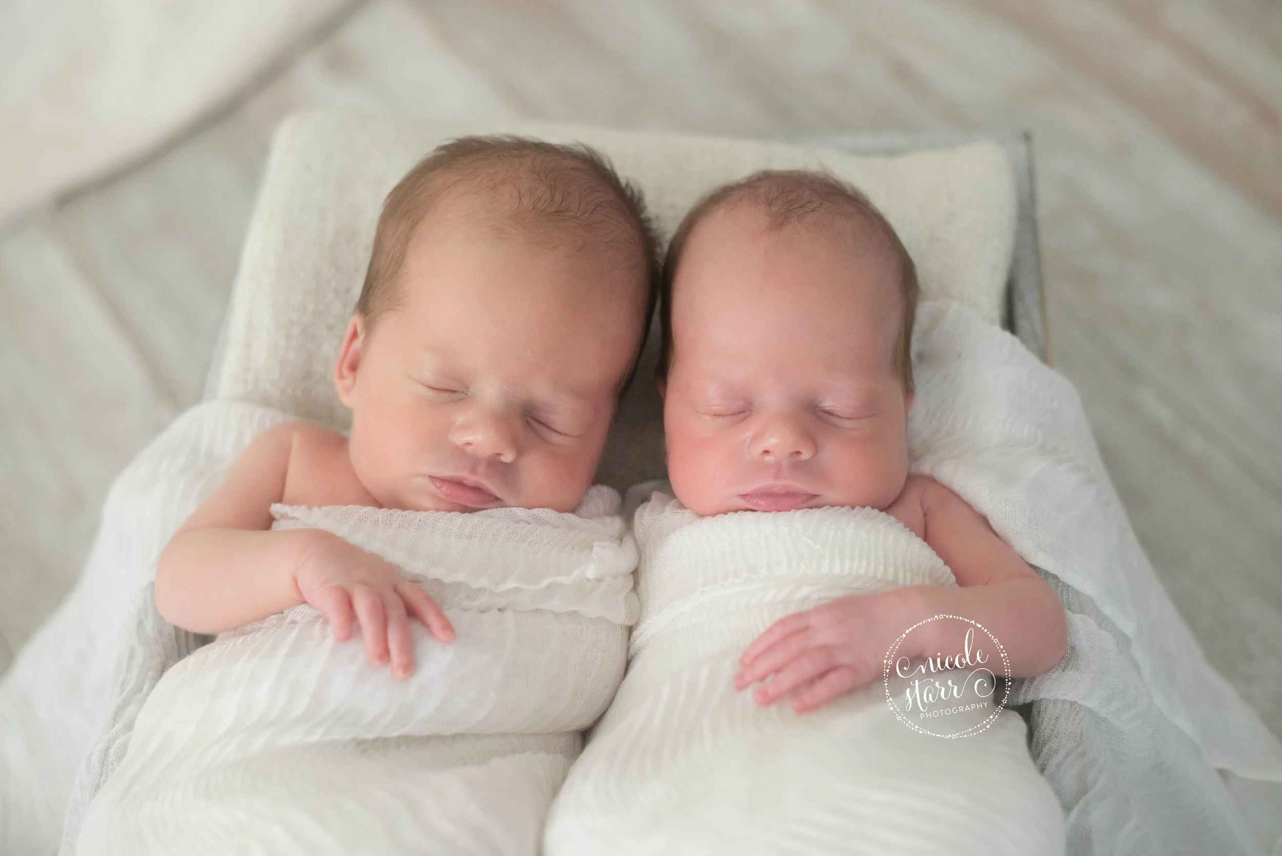 Nicole Starr Photographer | Boston newborn twins