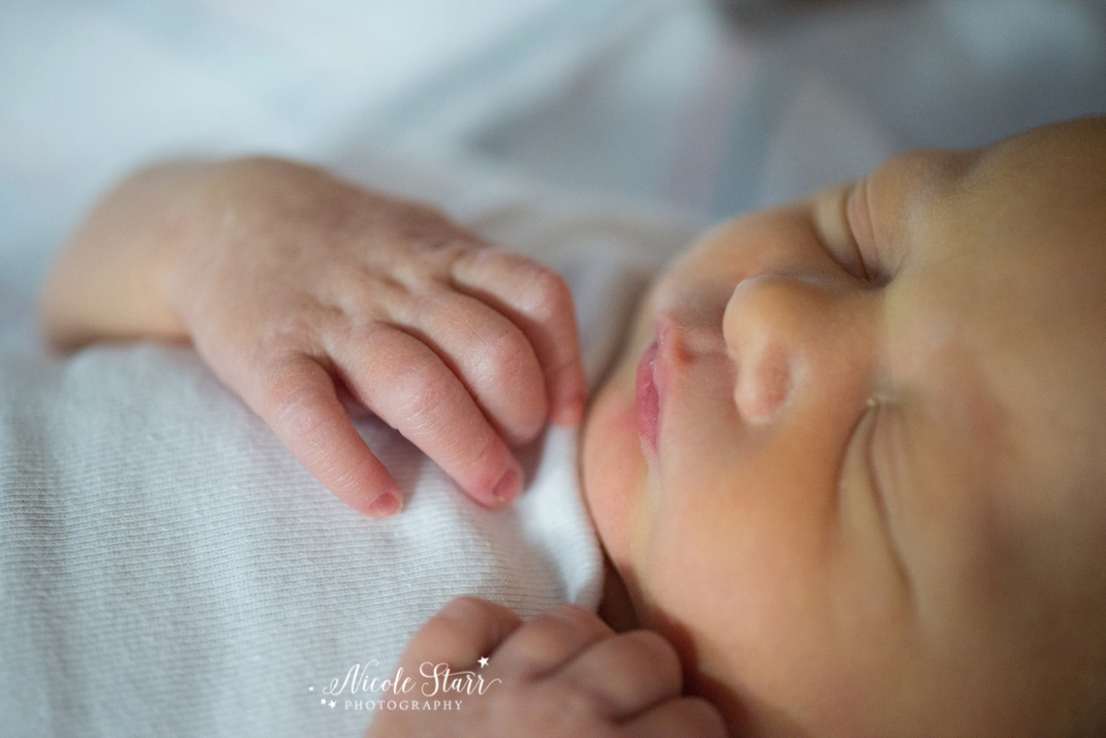 saratoga albany newborn photographer fresh 48_0006.jpg