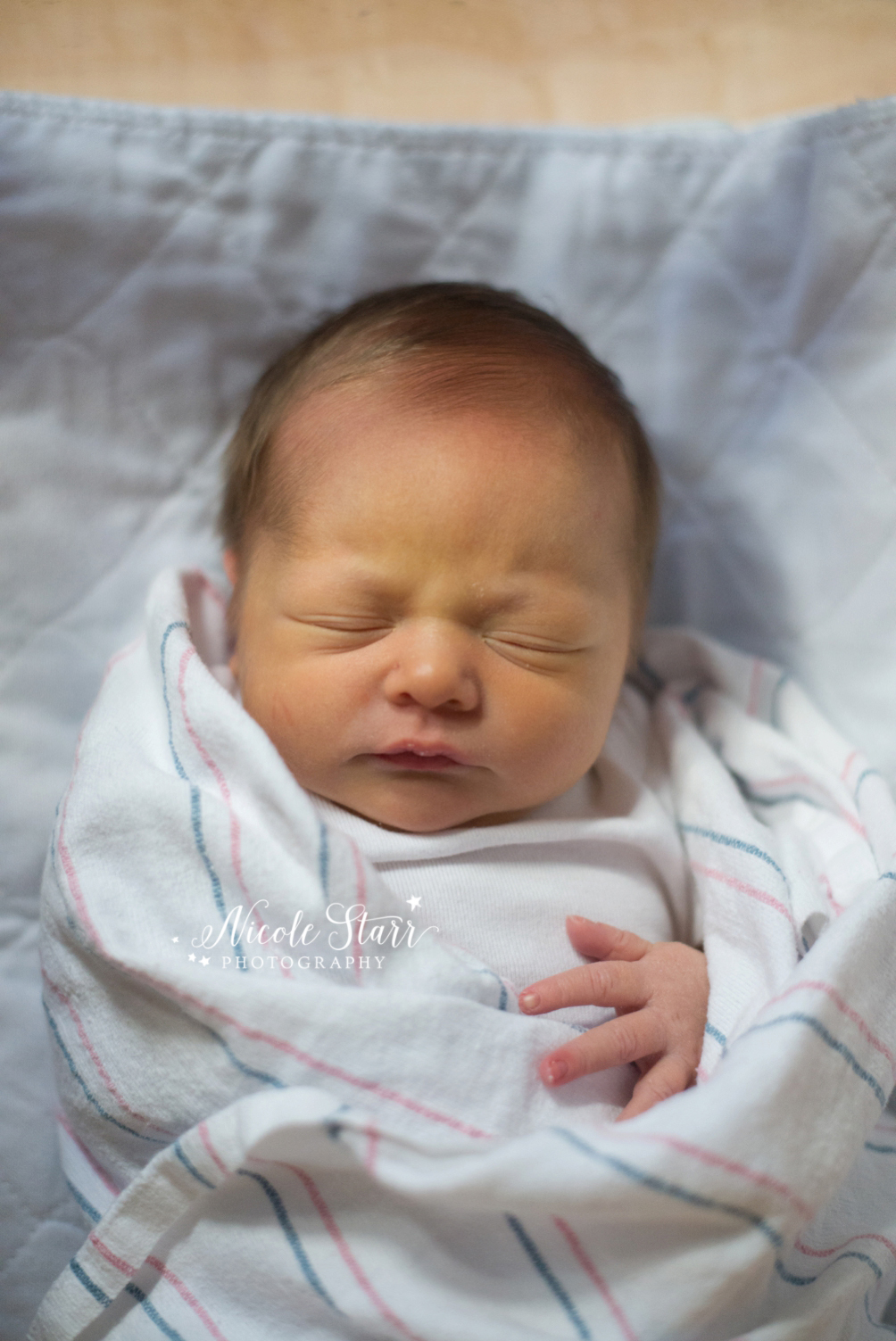 saratoga albany newborn photographer fresh 48_0003.jpg