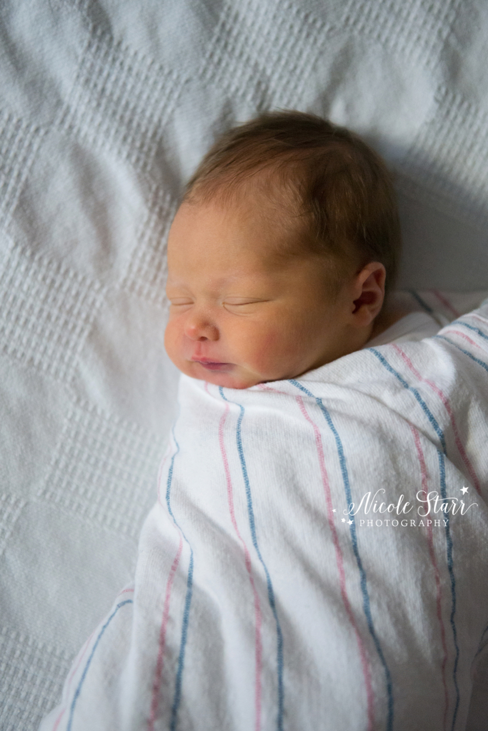 saratoga albany newborn photographer fresh 48_0014.jpg