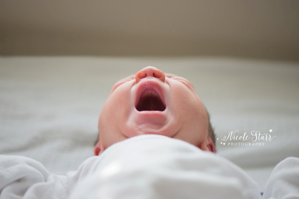 saratoga albany newborn photographer fresh 48_0011.jpg