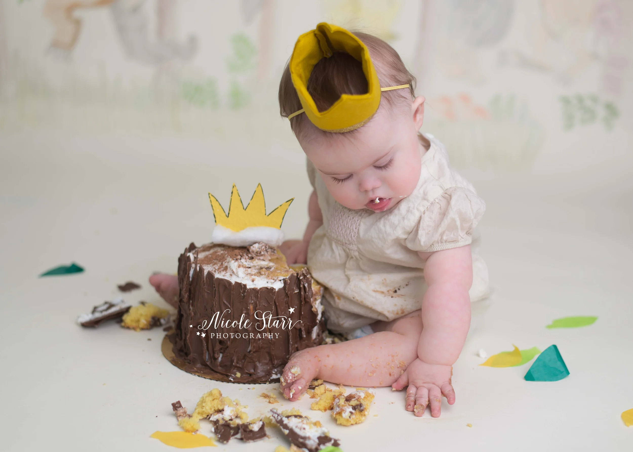 where the wild things are birthday photo shoot