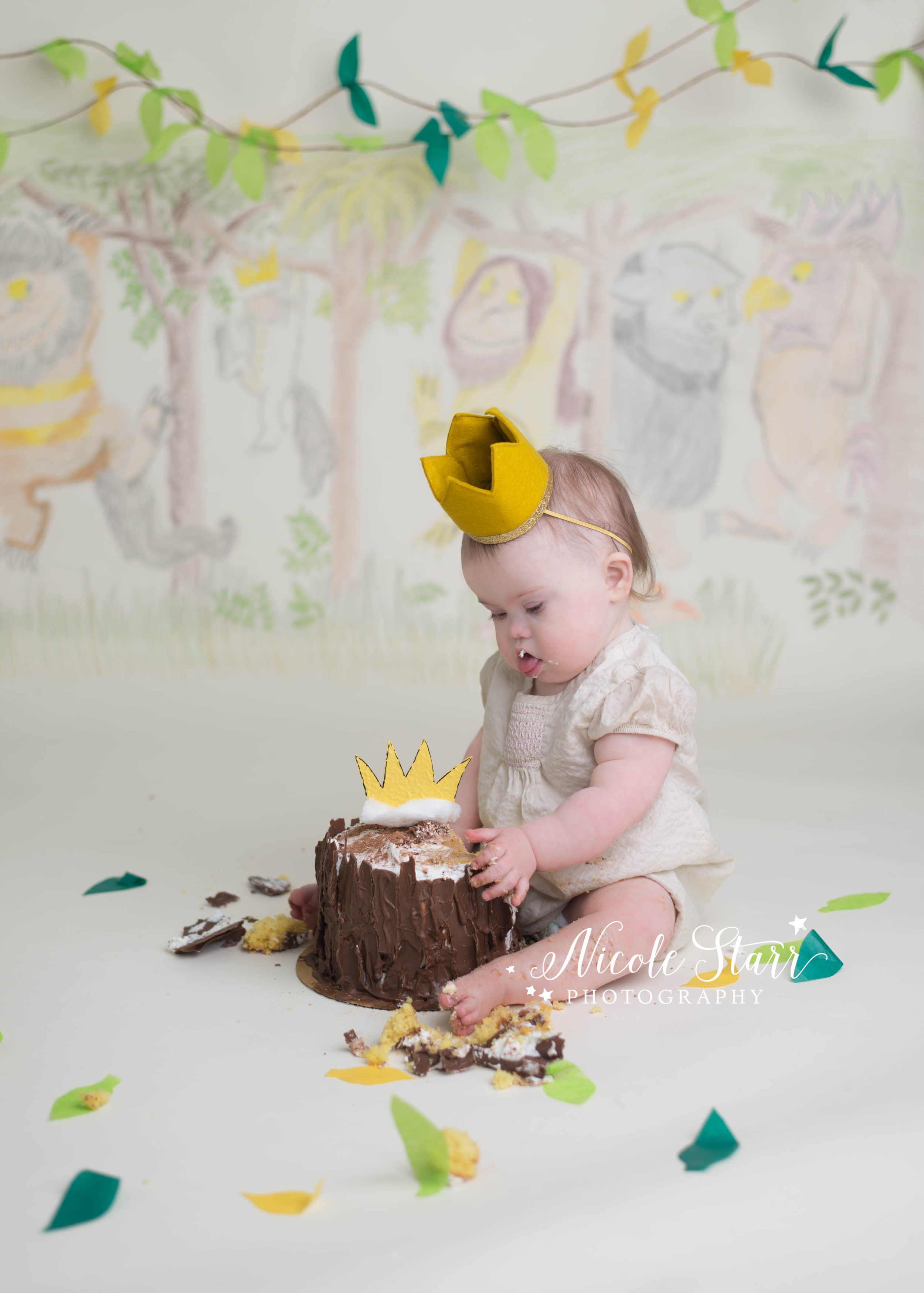 albany saratoga baby photographer where the wild things are cake smash.jpg