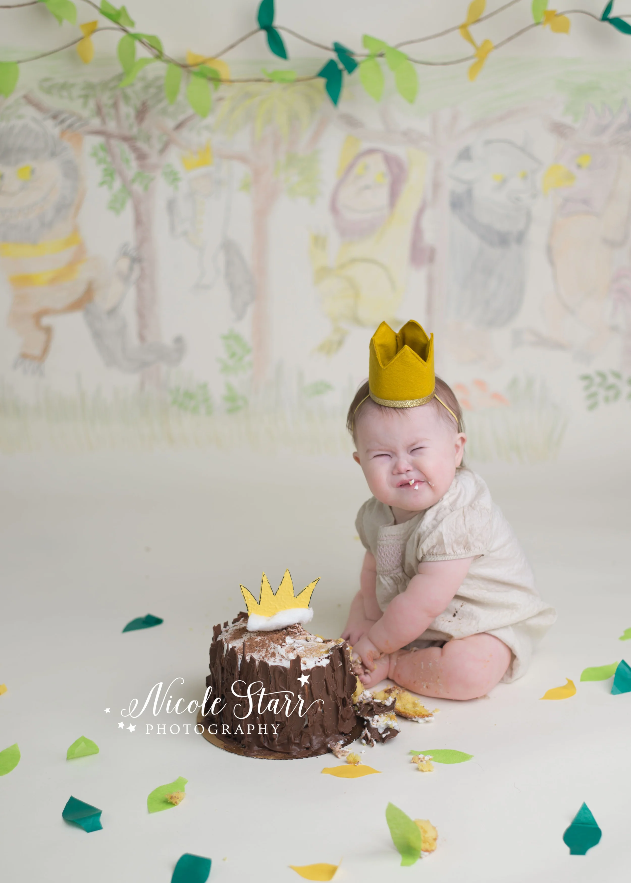 albany cake smash baby photographer