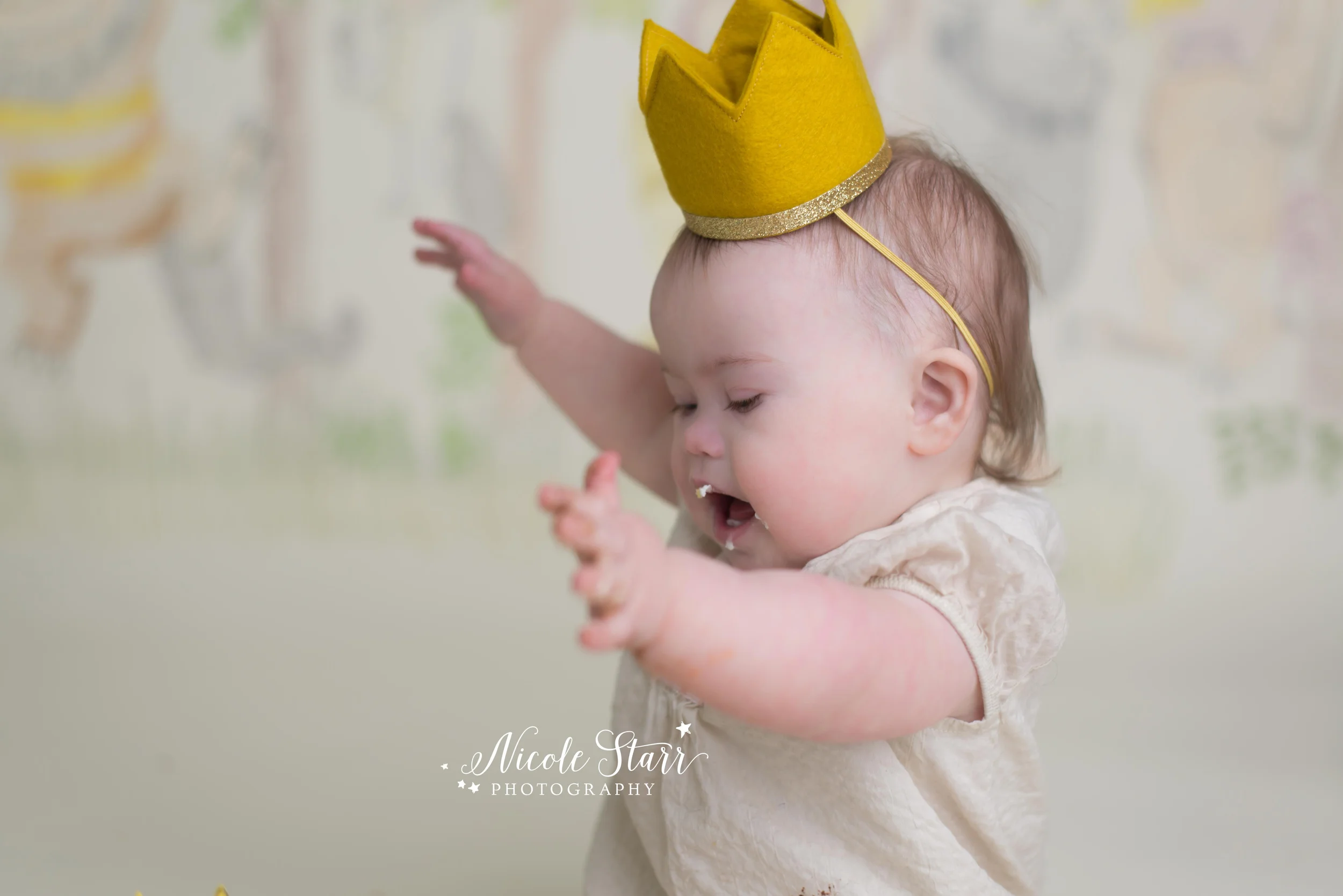 saratoga springs albany cake smash baby photographer