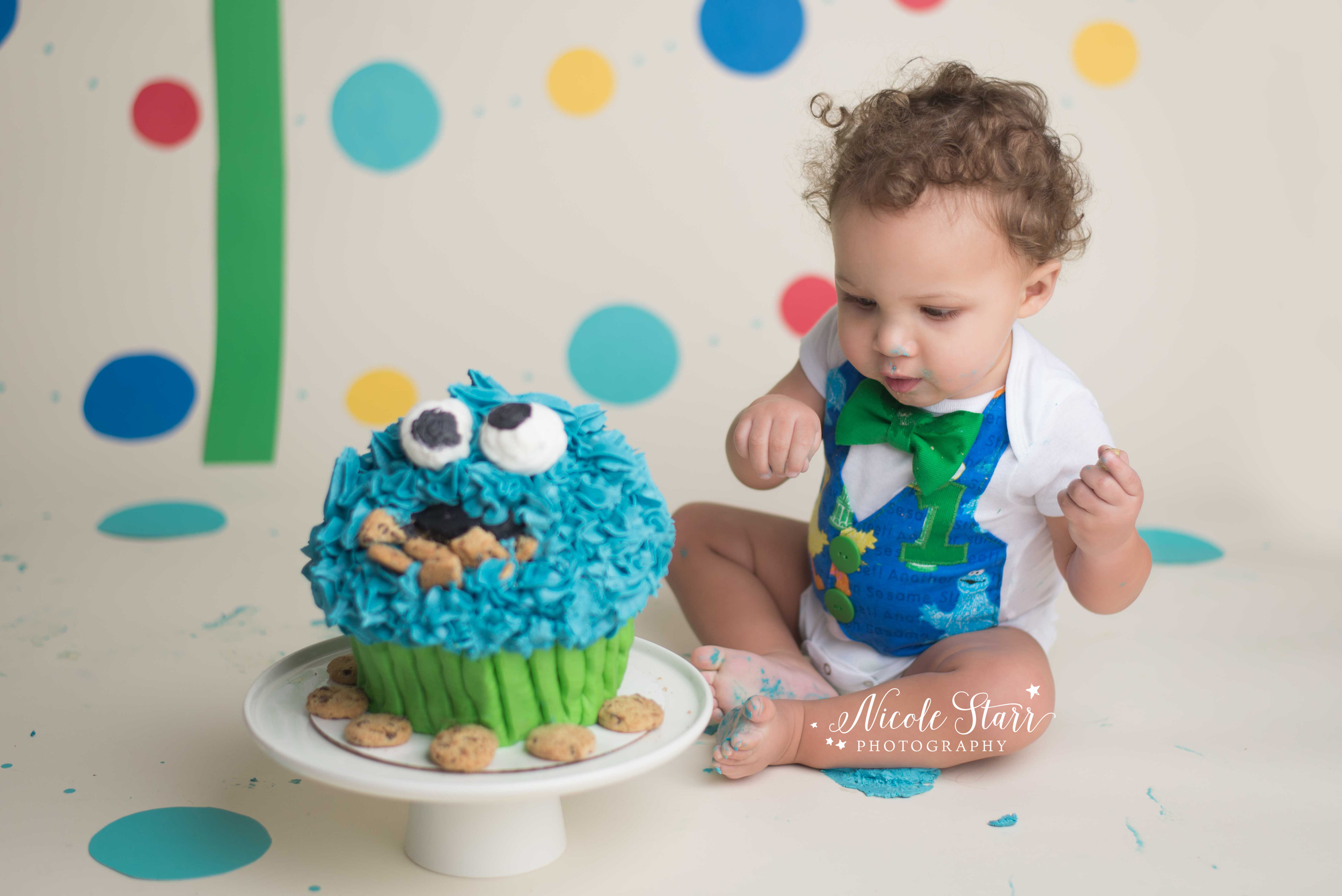 cookie monster cake smash baby portrait photographer.jpg