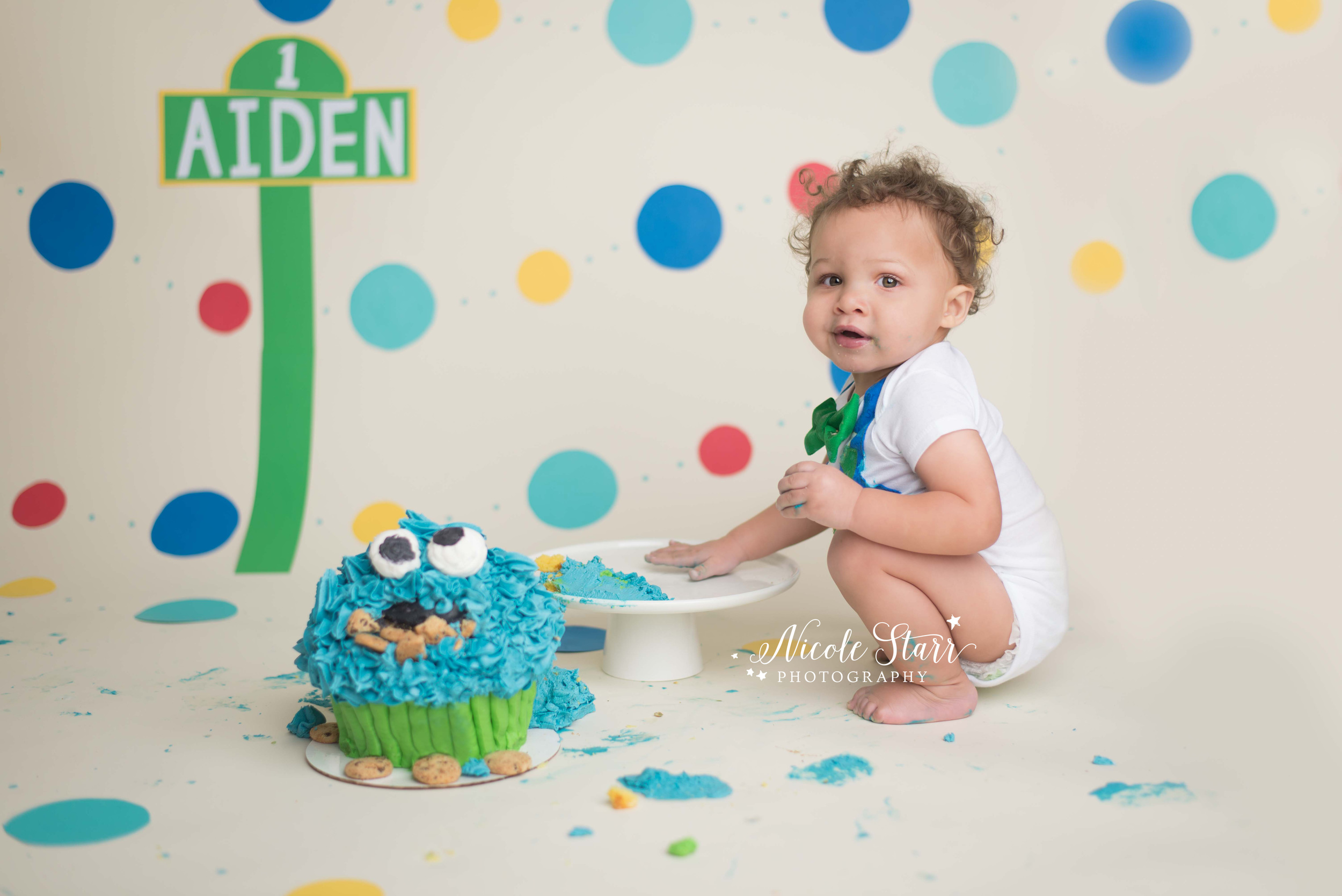 upstate new york baby birthday photographer sesame street cookie monster cake smash.jpg