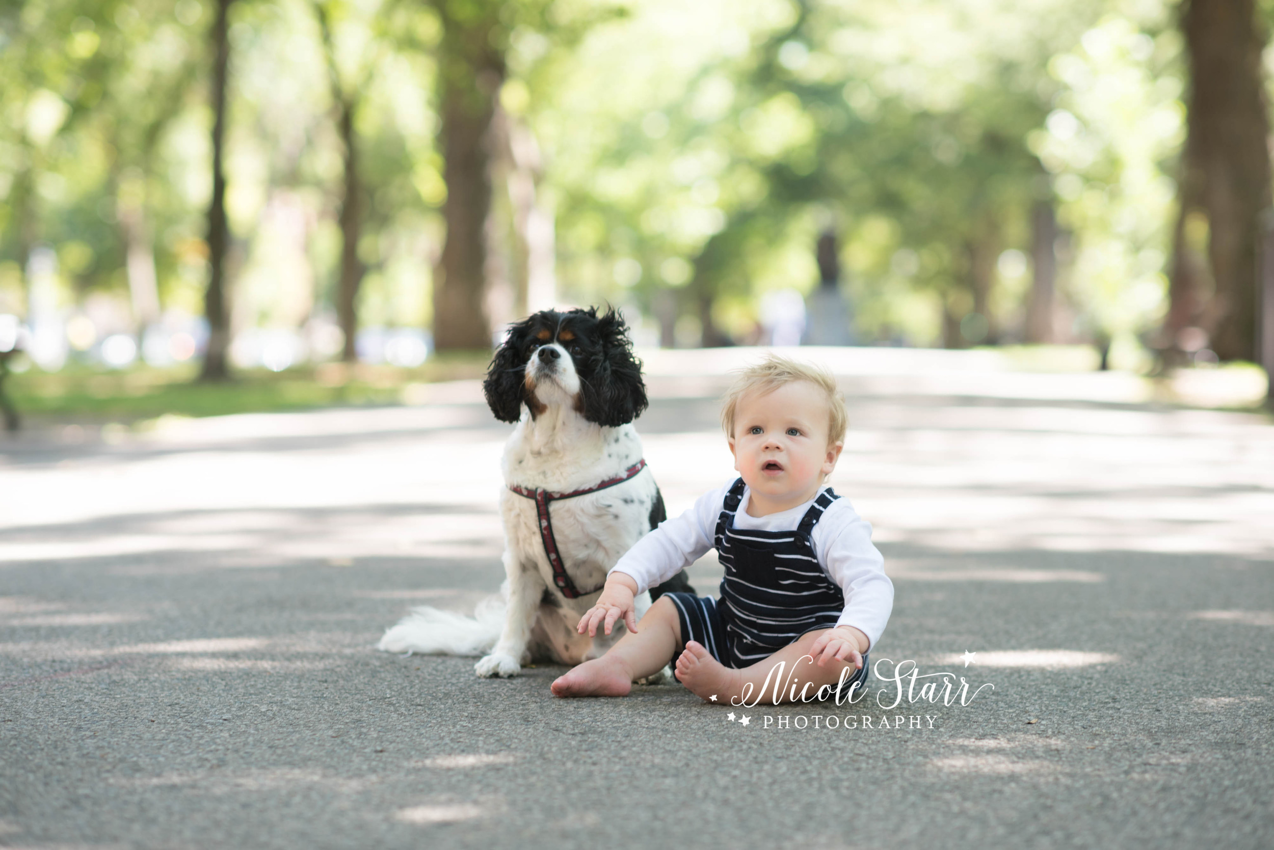 boston family photographer baby and dog.jpg