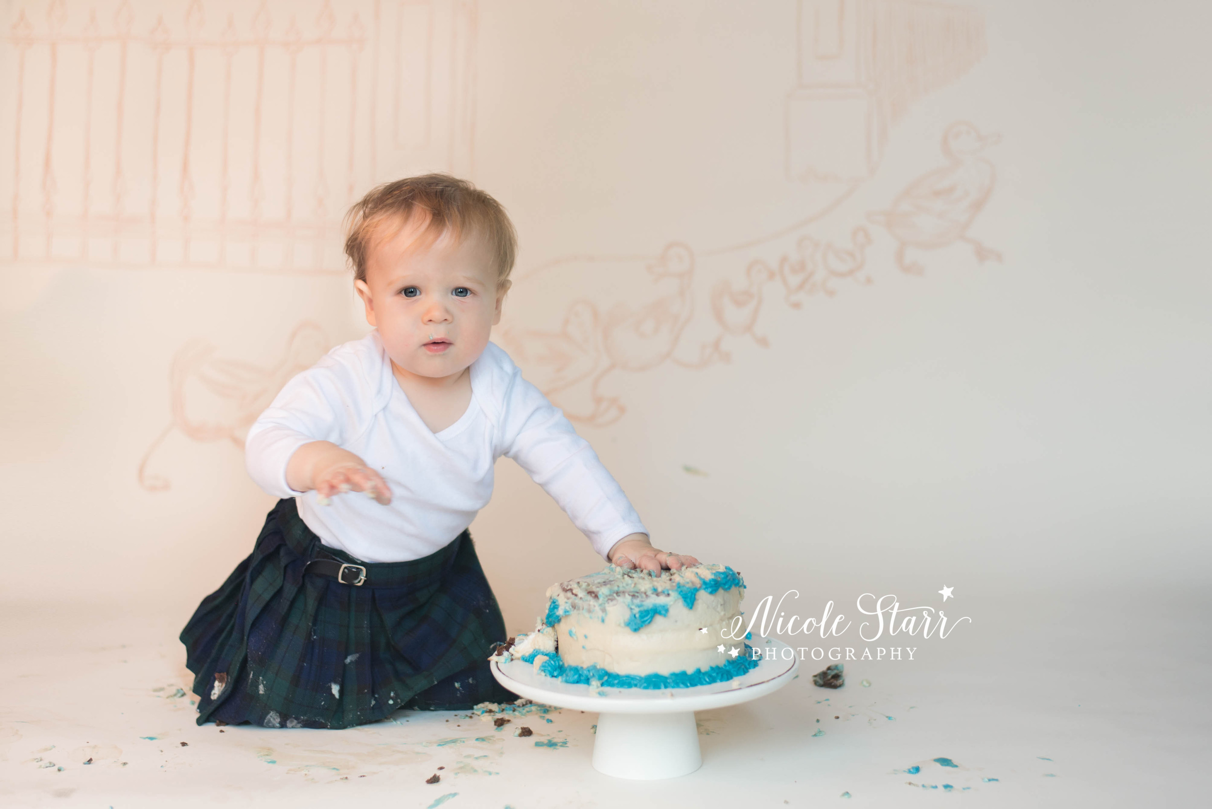 make way for ducklings baby's first birthday cake smash.jpg