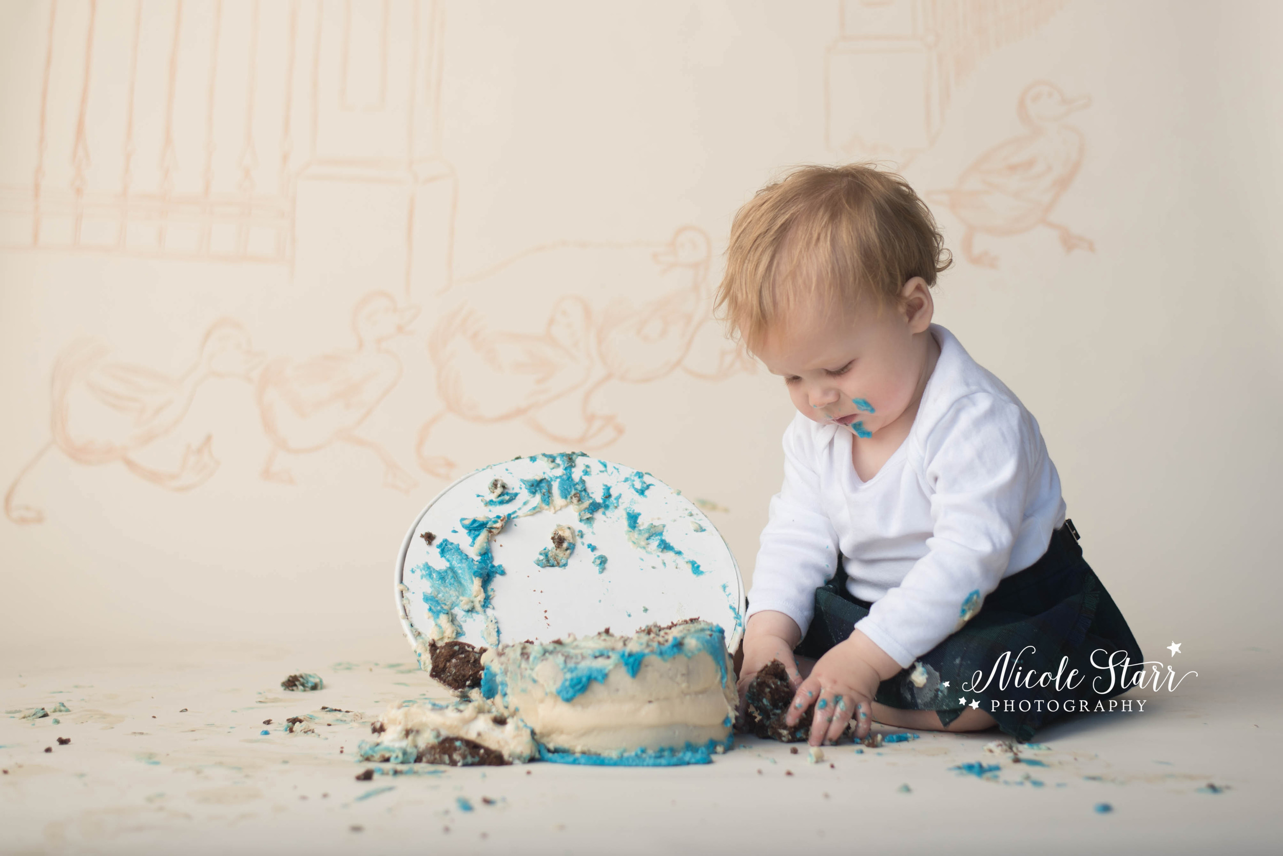 make way for ducklings cake smash boston baby photographer.jpg