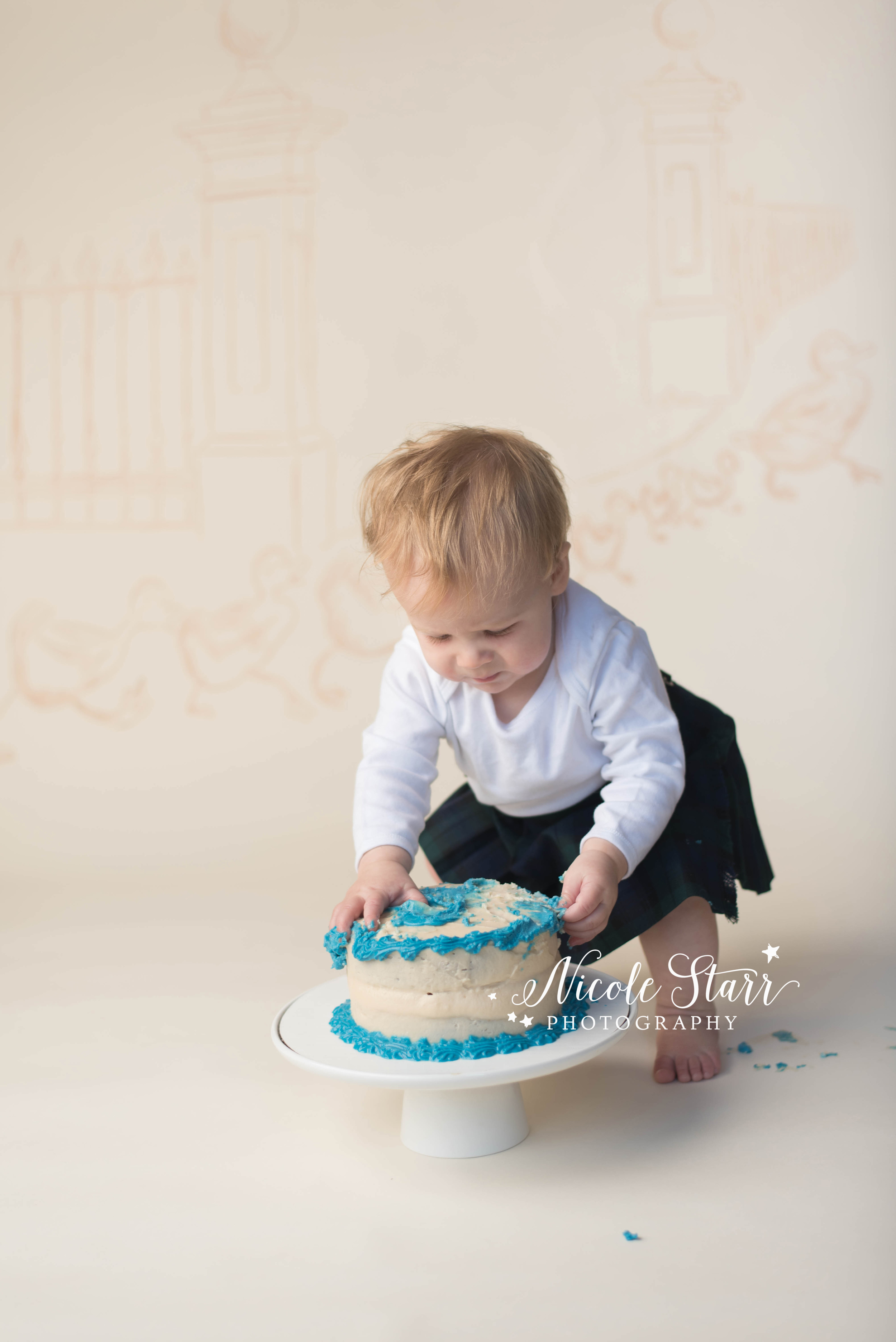 make way for ducklings cake smash with boston baby photographer.jpg