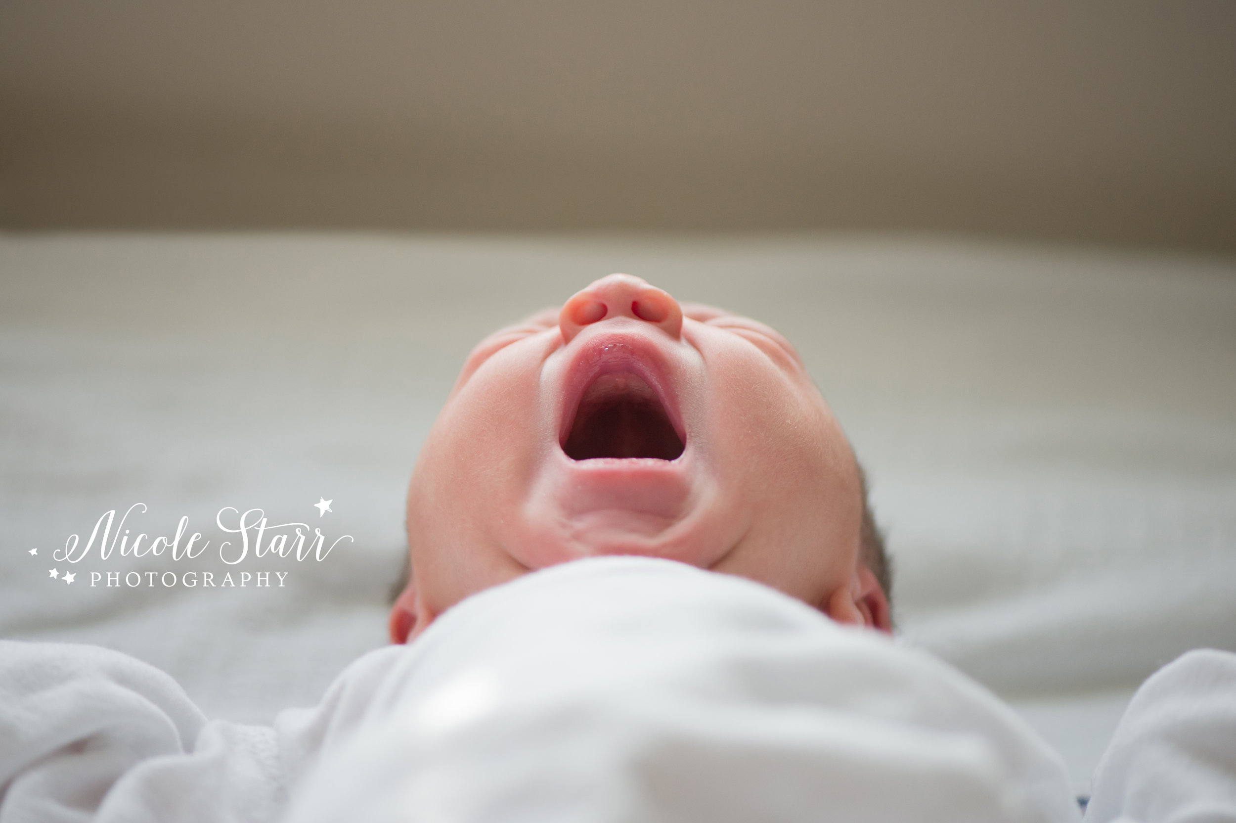 WM fresh 48 newborn hospital photography-37.jpg