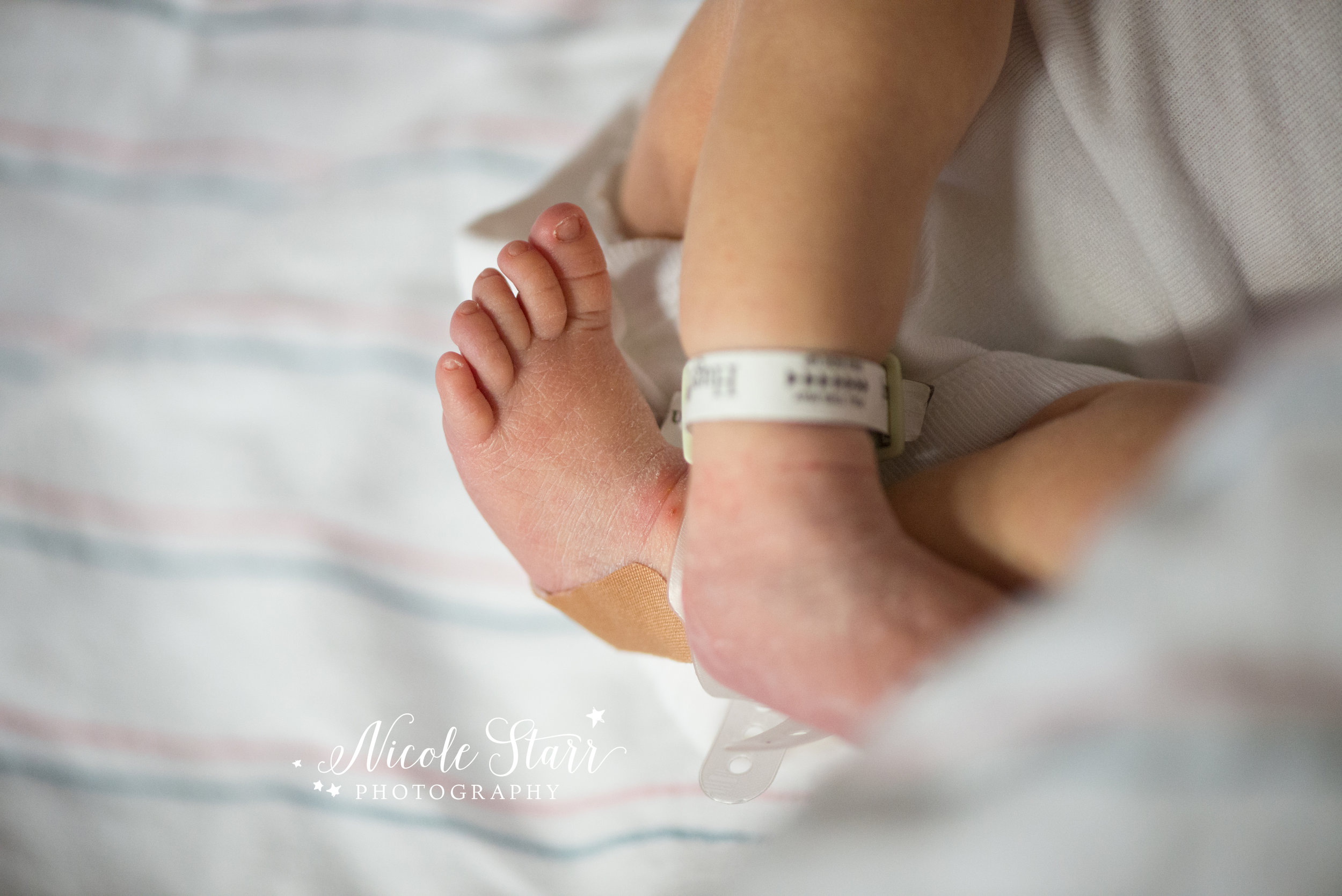 WM nicole starr photography-7.jpg