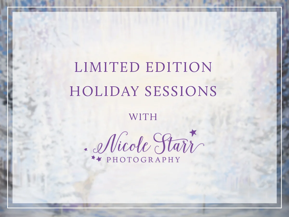 christmas holiday mini session saratoga springs baby photographer boston baby photographer