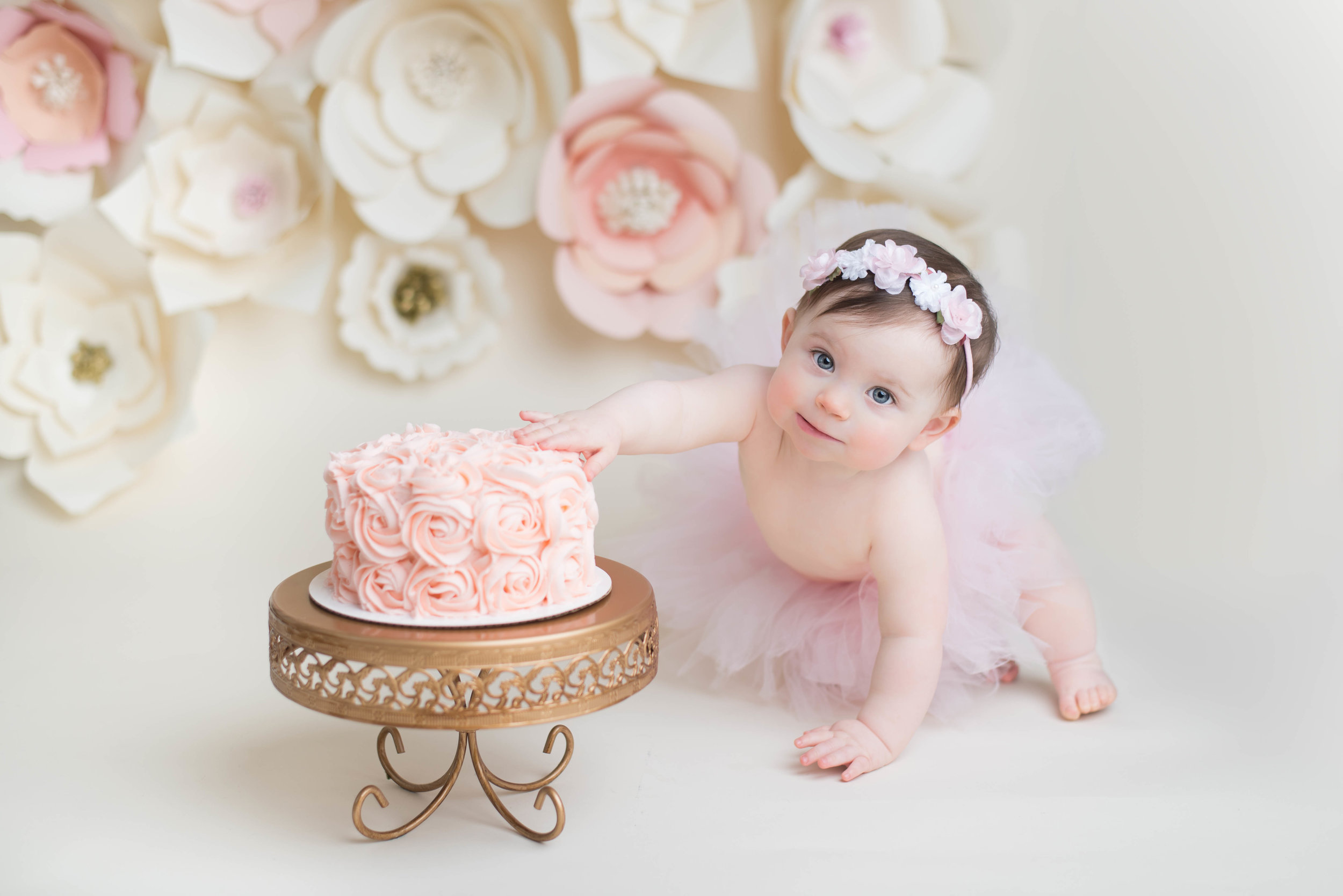 boston baby photographer, boston cake smash photographer