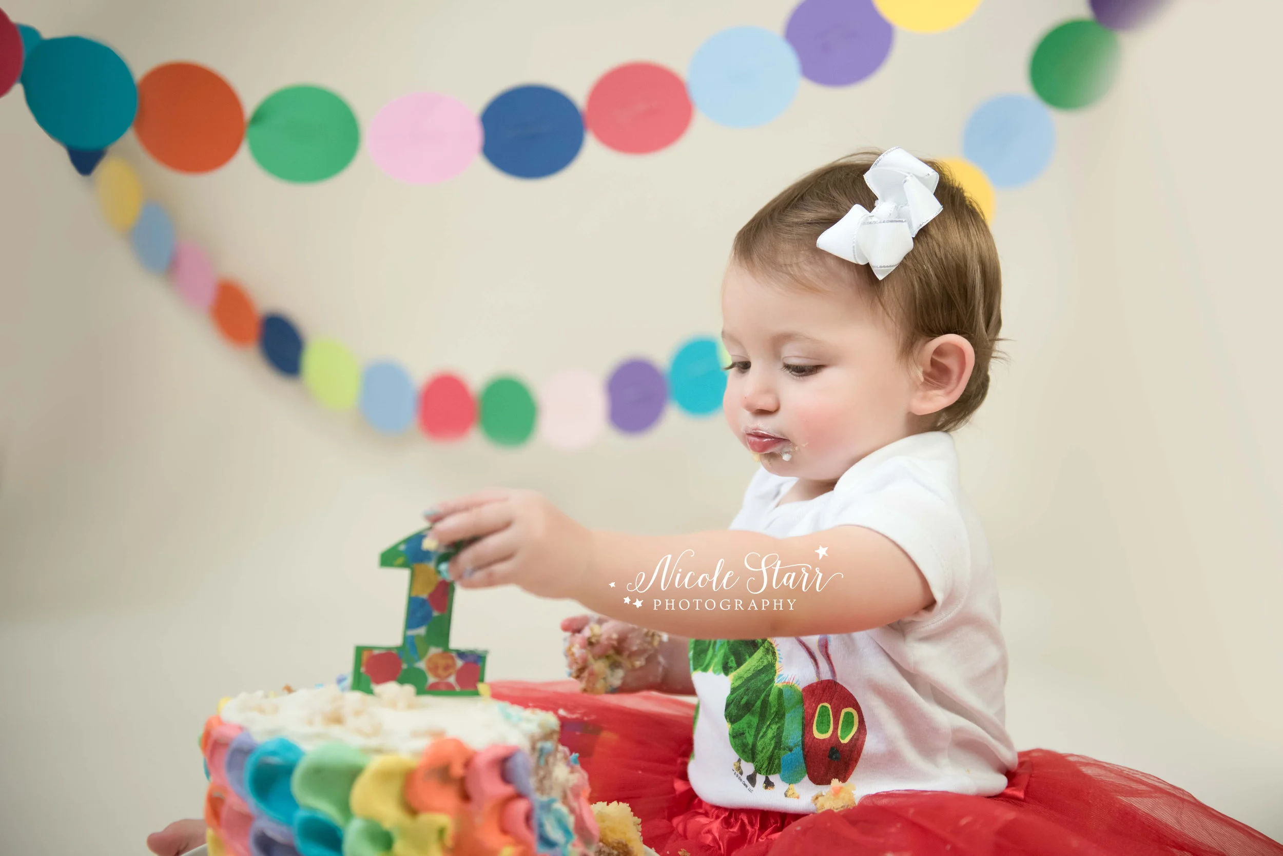 eric carle cake smash.jpg