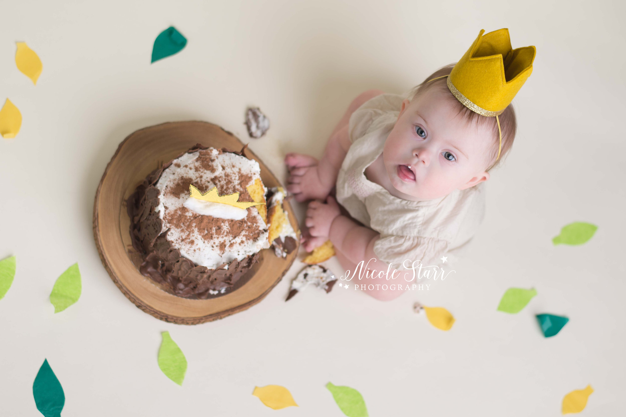 where the wild things are cake smash nicole starr photography.jpg