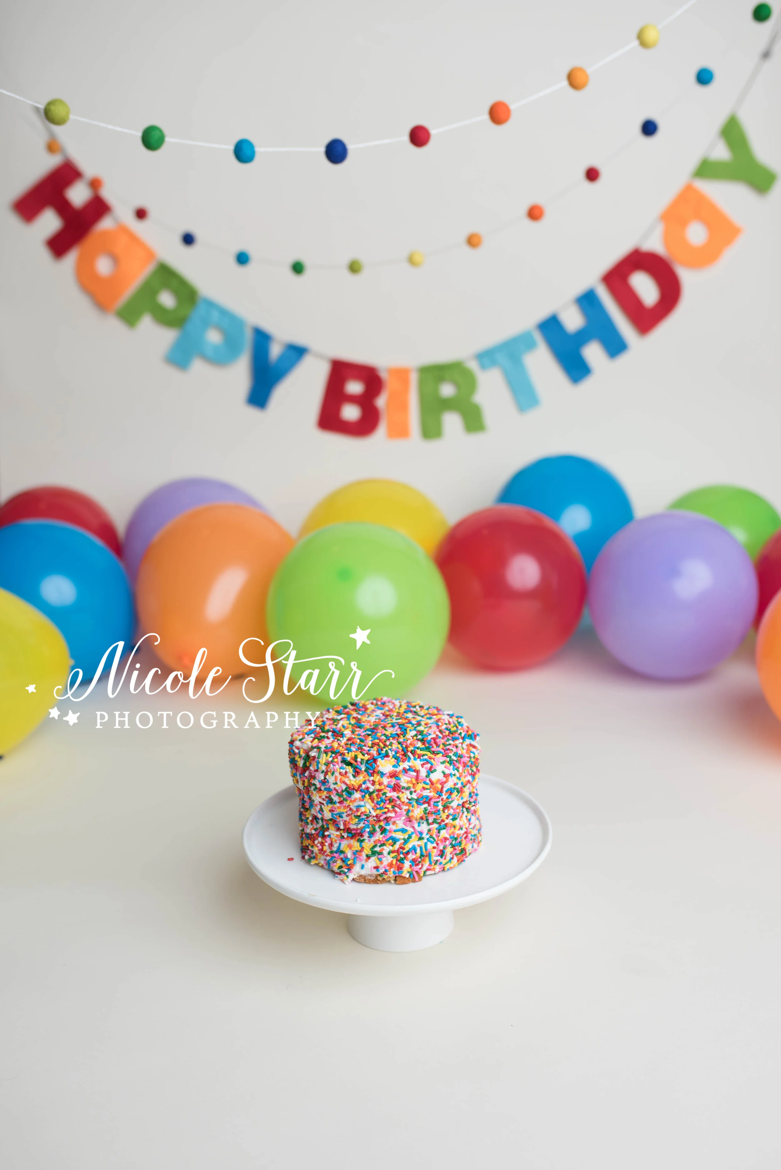 Nicole Starr Photography | Saratoga Springs Cake Smash Photographer | Boston Cake Smash Photographer | Saratoga Springs Family Photographer | Boston Family Photographer