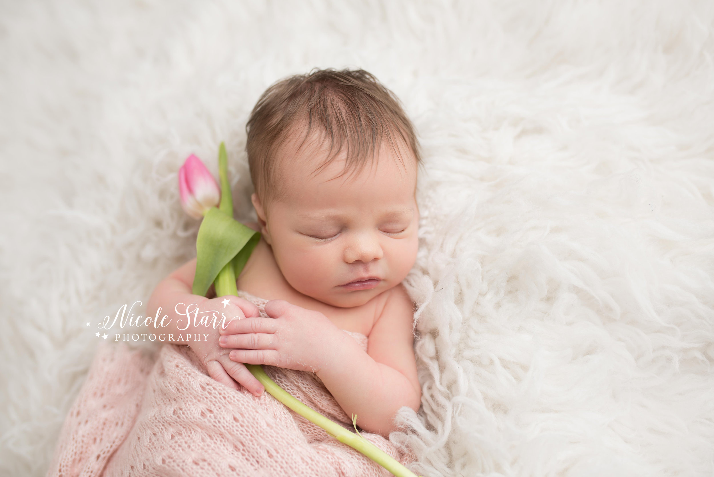 Columbus Newborn Baby Photographer  Baby Girl Session Styled With Creme &  Pink's - Bare Baby Photography