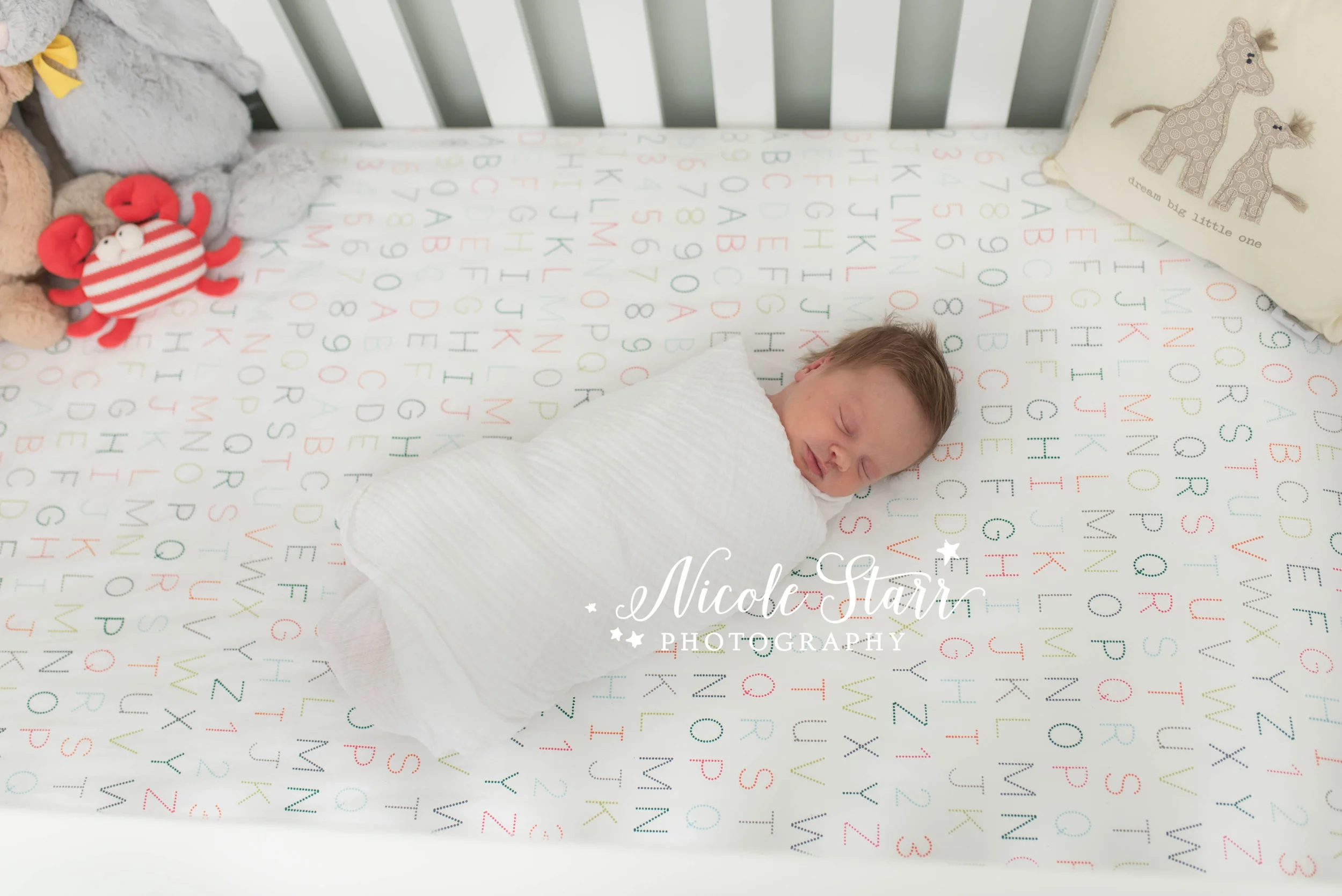 Nicole Starr Photography | Saratoga Springs Newborn Photographer | Boston Newborn Photographer | Upstate NY Newborn Photographer | Newborn Photographer