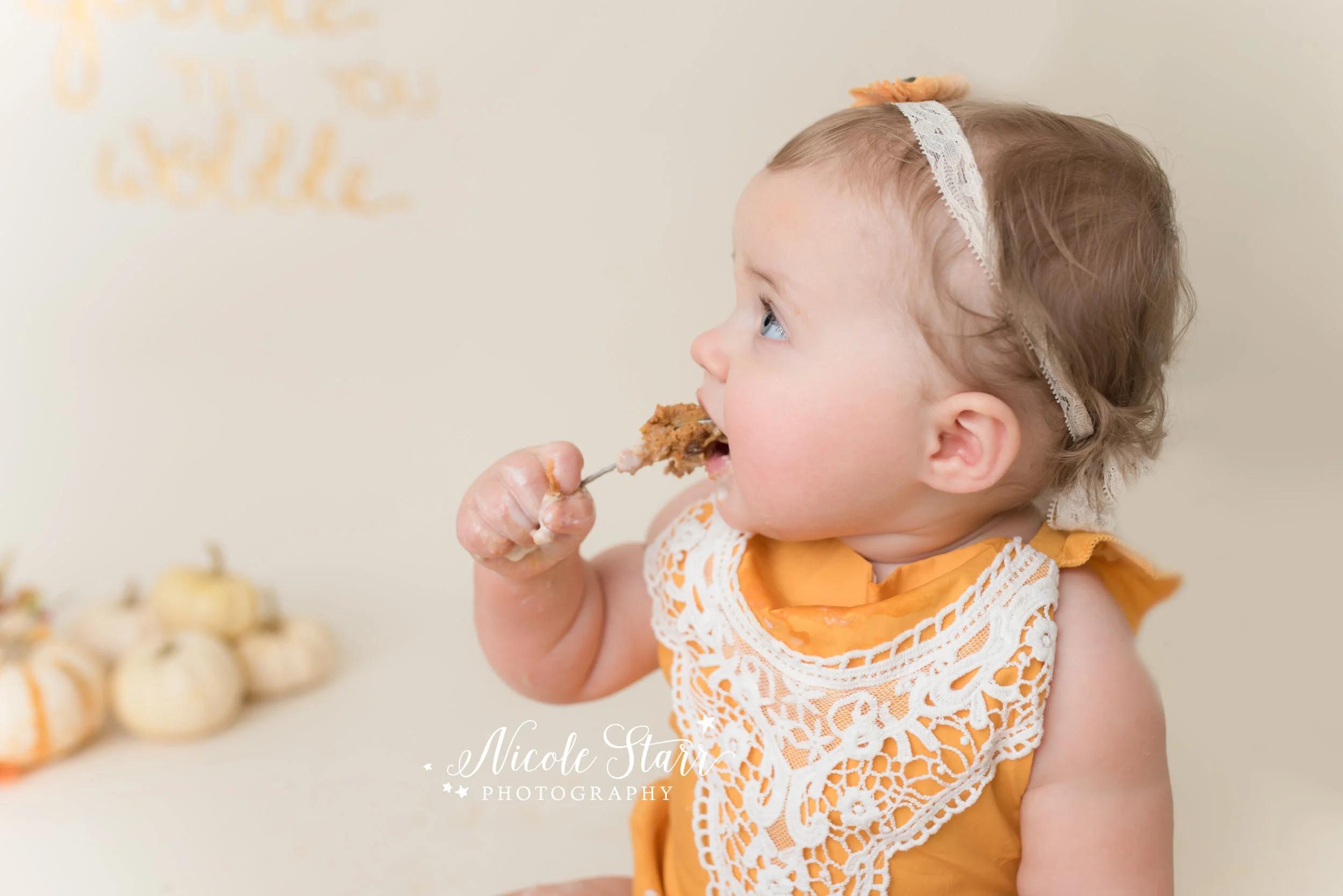 Nicole Starr Photography | Saratoga Springs Pumpkin Pie Smash Photographer | Boston Pumpkin Pie Smash Photographer | Saratoga Springs Baby Photographer | Boston Baby Photographer | pumpkin pie