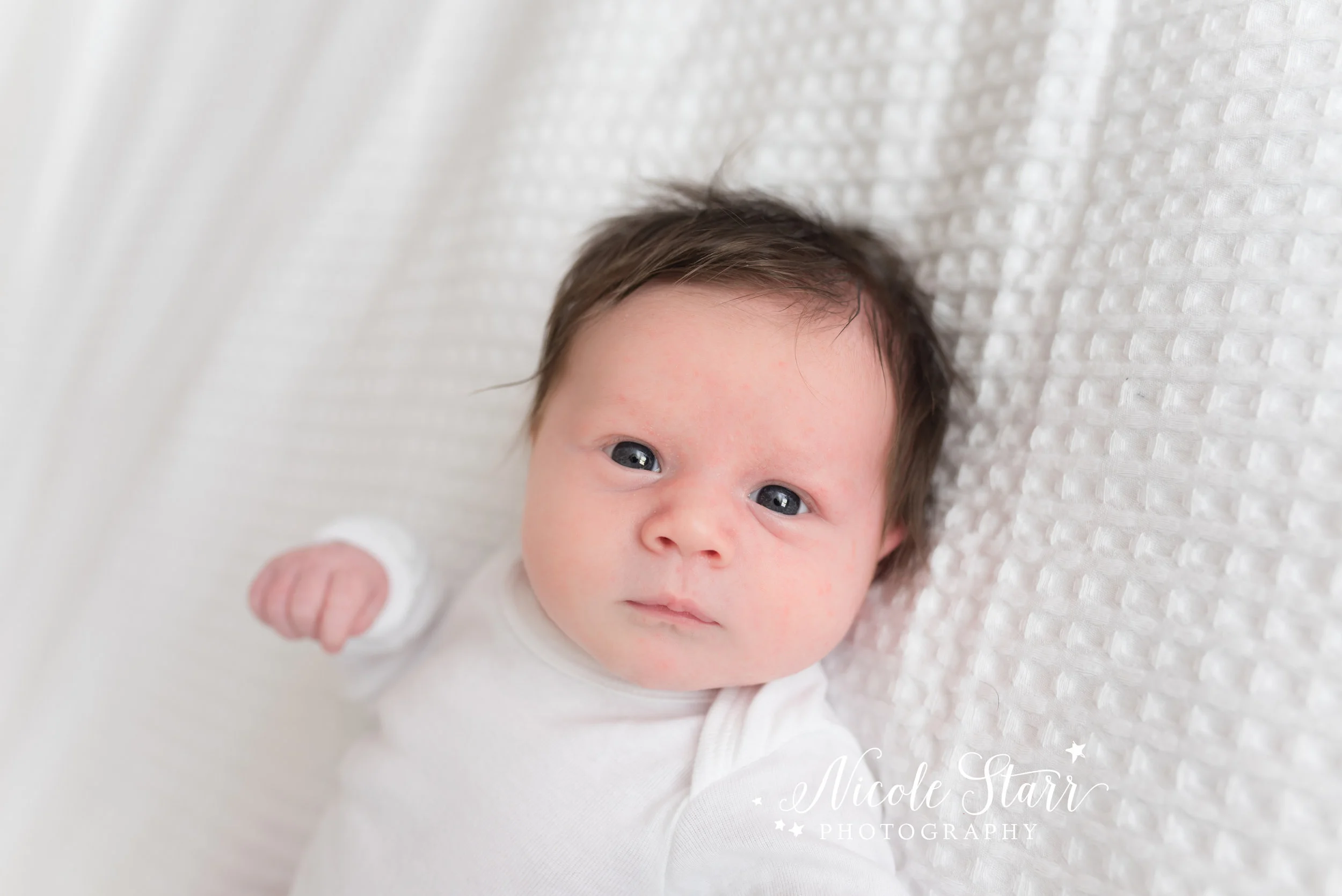 Saratoga Springs Newborn Photographer  |  Albany Newborn Photographer  |  Boston Newborn Photographer  |  Lifestyle newborn photo session  |  Albany Baby Photographer  |  Saratoga Springs Baby Photographer  |  Boston Baby Photographer  |  Newborn Po…