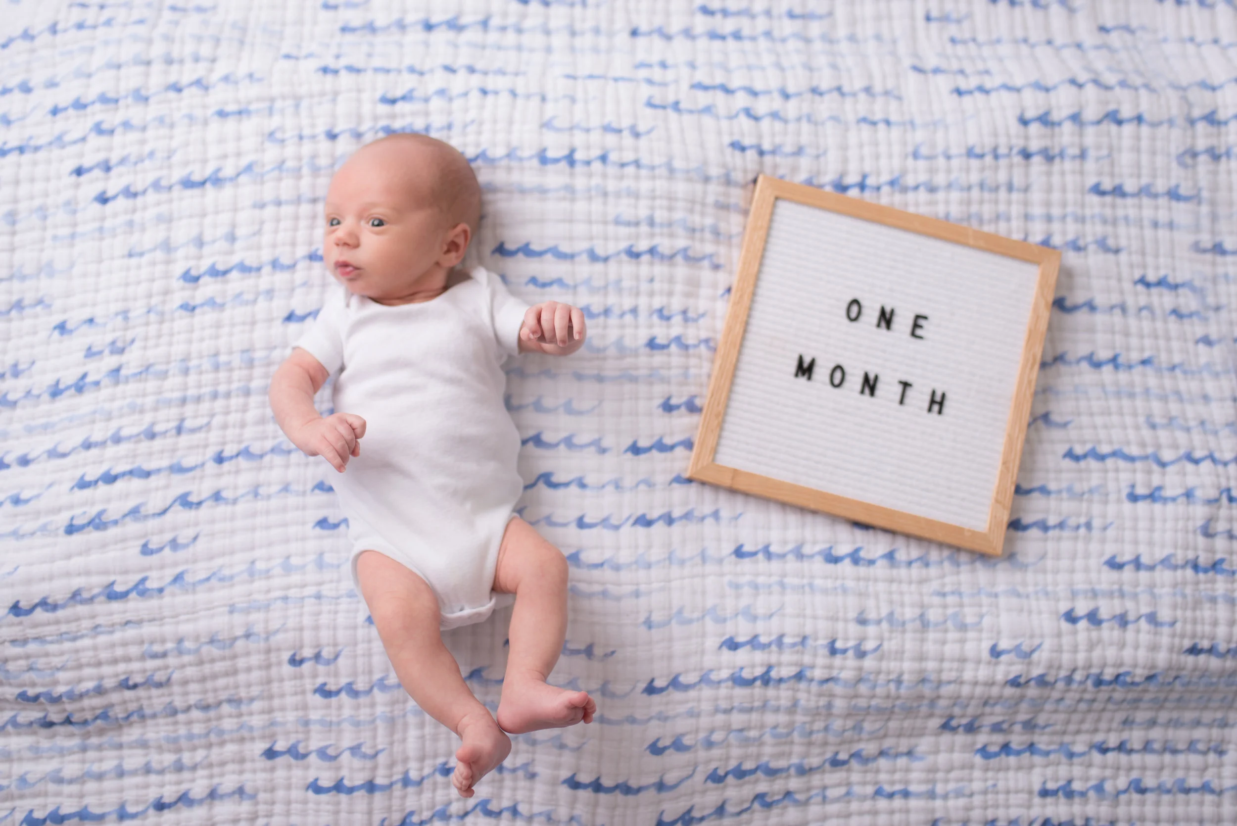 saratoga springs baby photographer  |  monthly baby photos