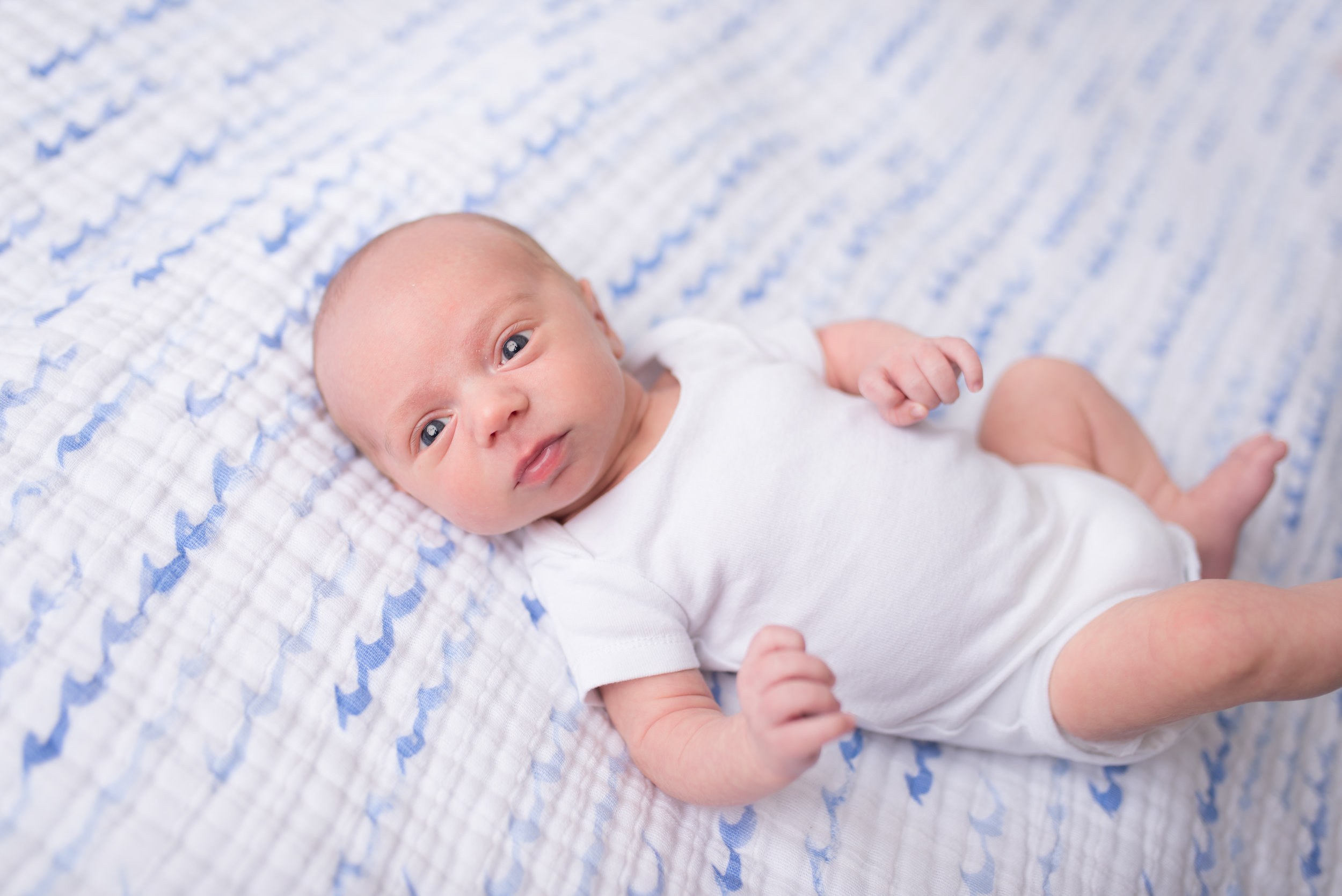 grayson 1 month-8.jpg