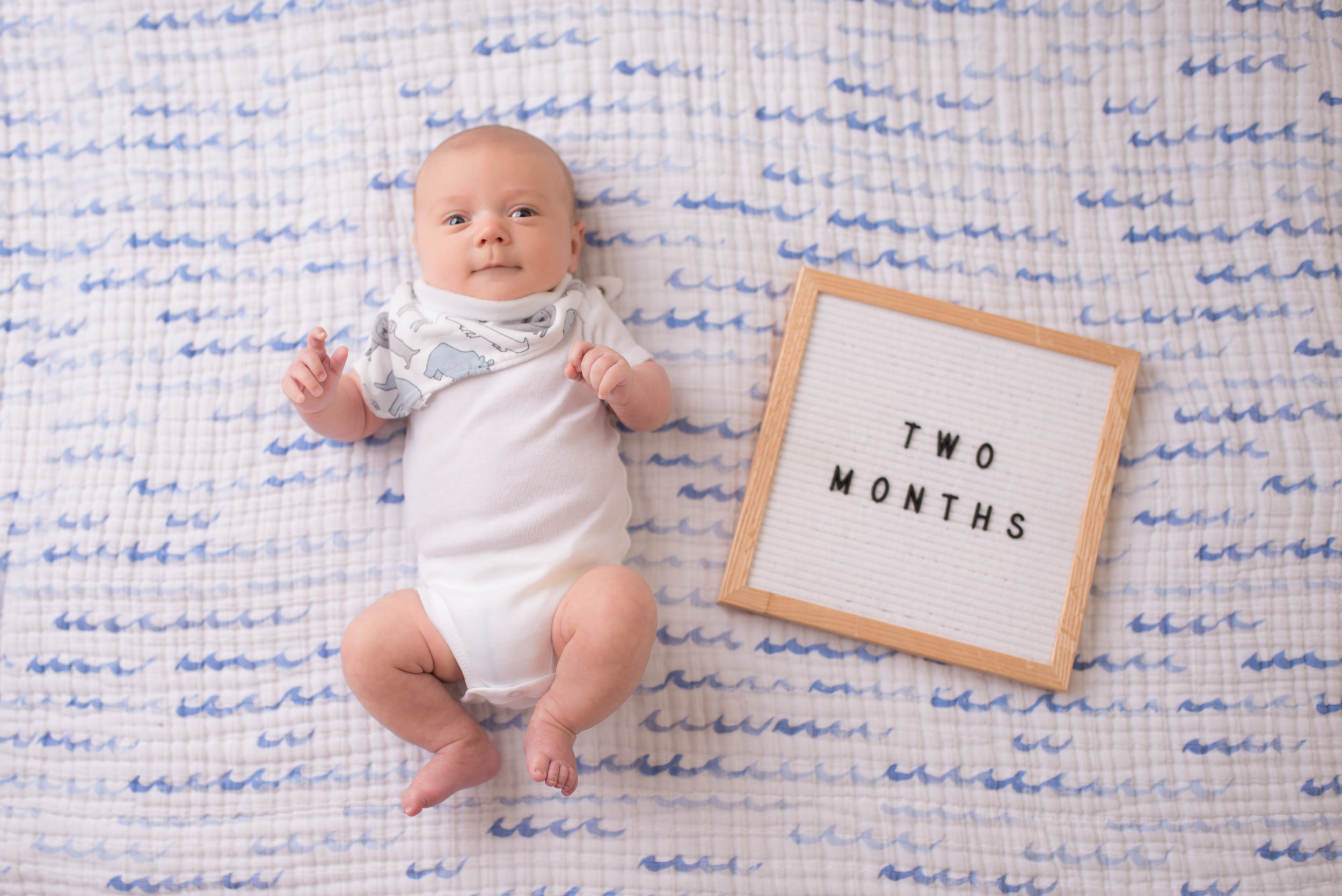 Saratoga Springs and Boston Baby Photographer, Nicole Starr Photography