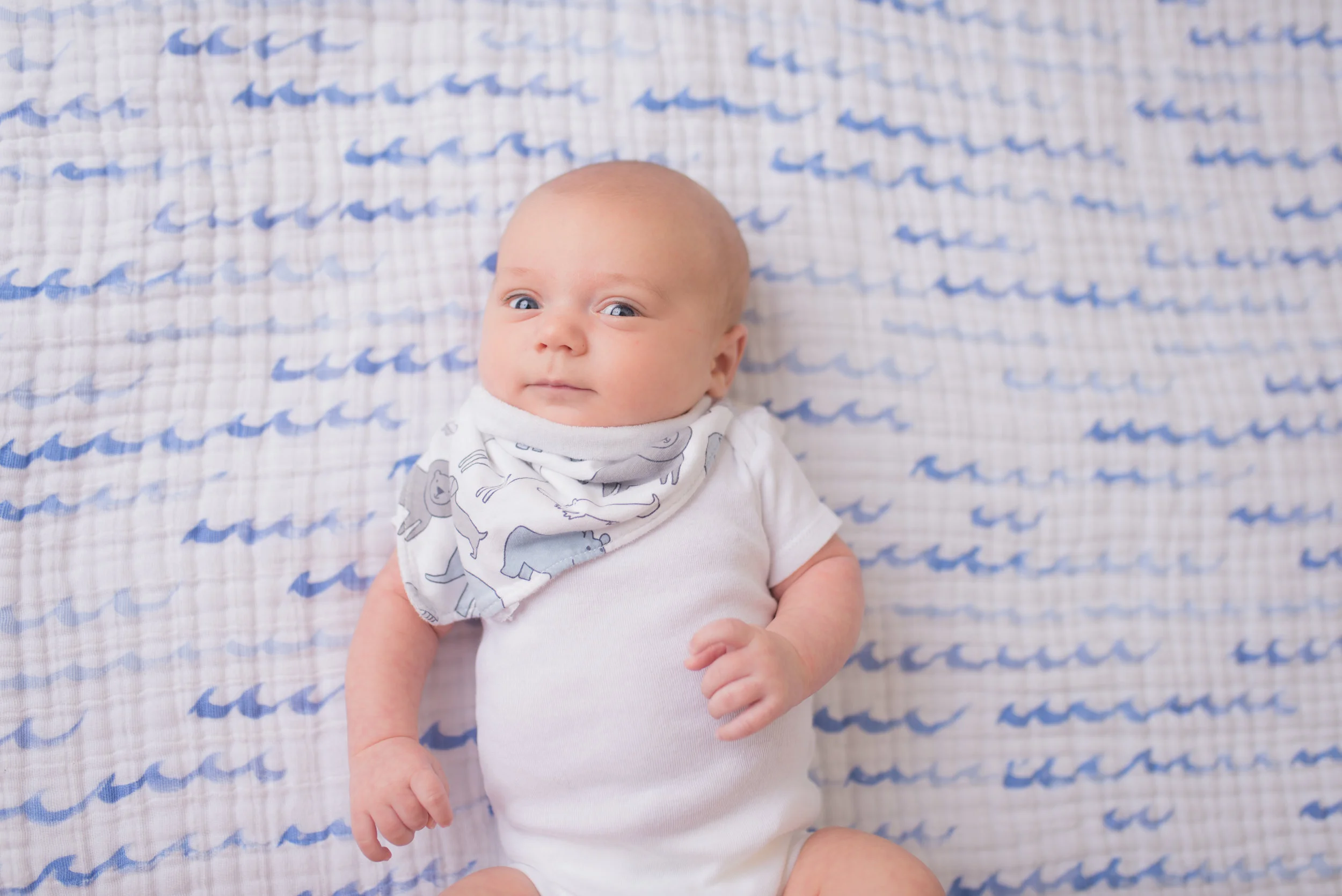 Saratoga Springs and Boston Baby Photographer, Nicole Starr Photography