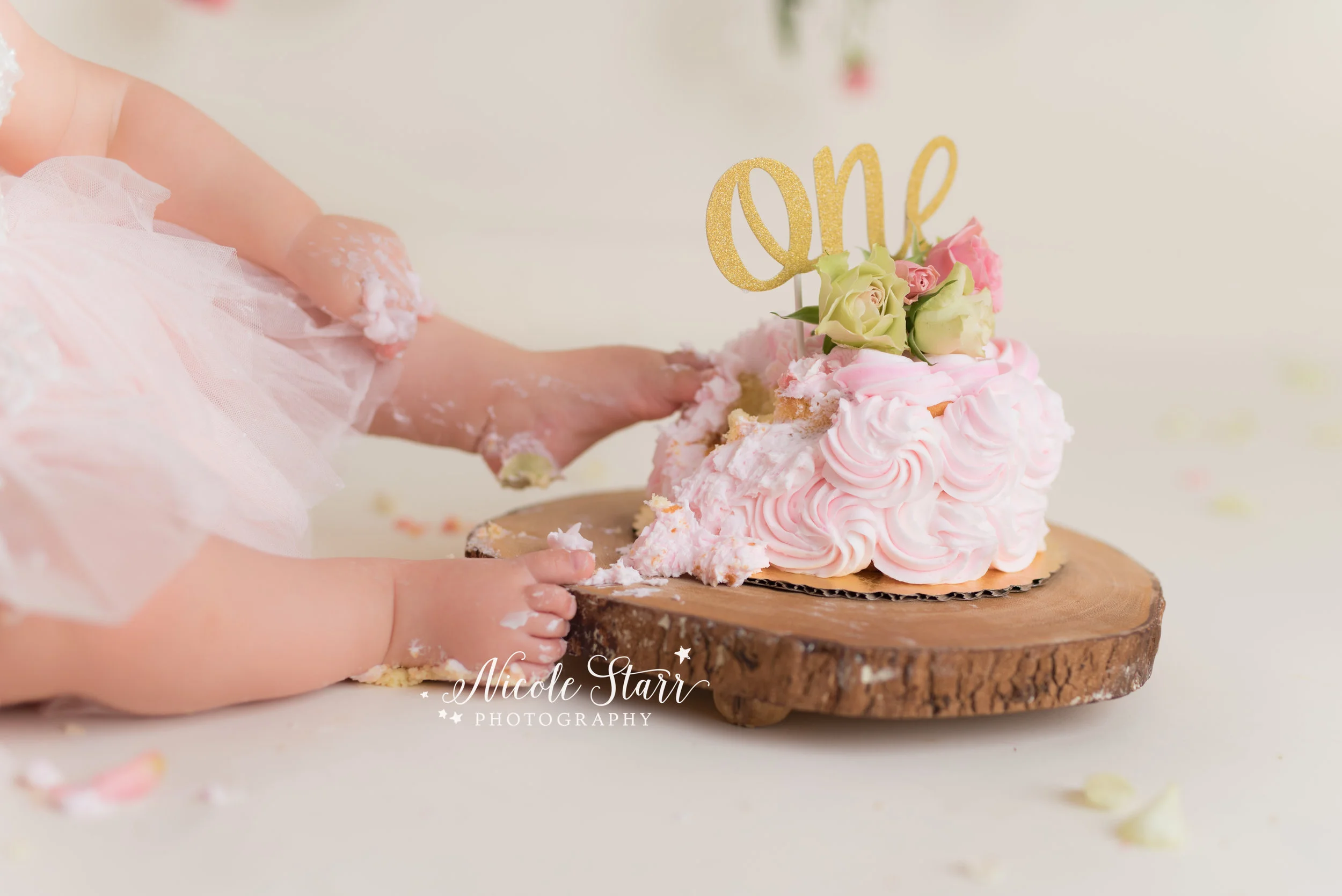Nicole Starr Photography | Saratoga Springs Cake Smash Photographer | Boston Cake Smash Photographer | Saratoga Springs Family Photographer | Boston Family Photographer