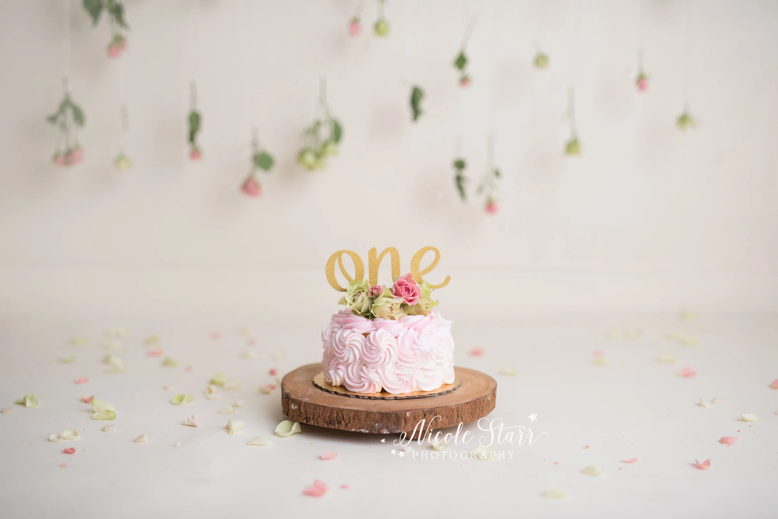 Nicole Starr Photography | Saratoga Springs Cake Smash Photographer | Boston Cake Smash Photographer | Saratoga Springs Family Photographer | Boston Family Photographer