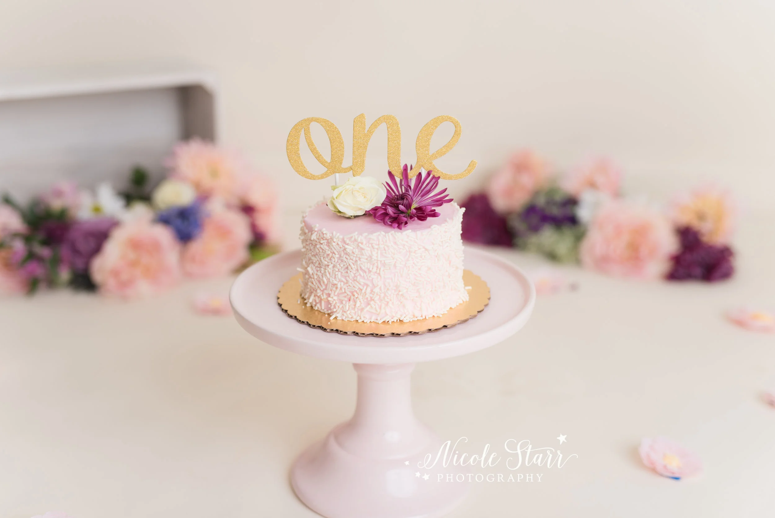 Nicole Starr Photography | Saratoga Springs Cake Smash Photographer | Boston Cake Smash Photographer | Saratoga Springs Family Photographer | Boston Family Photographer
