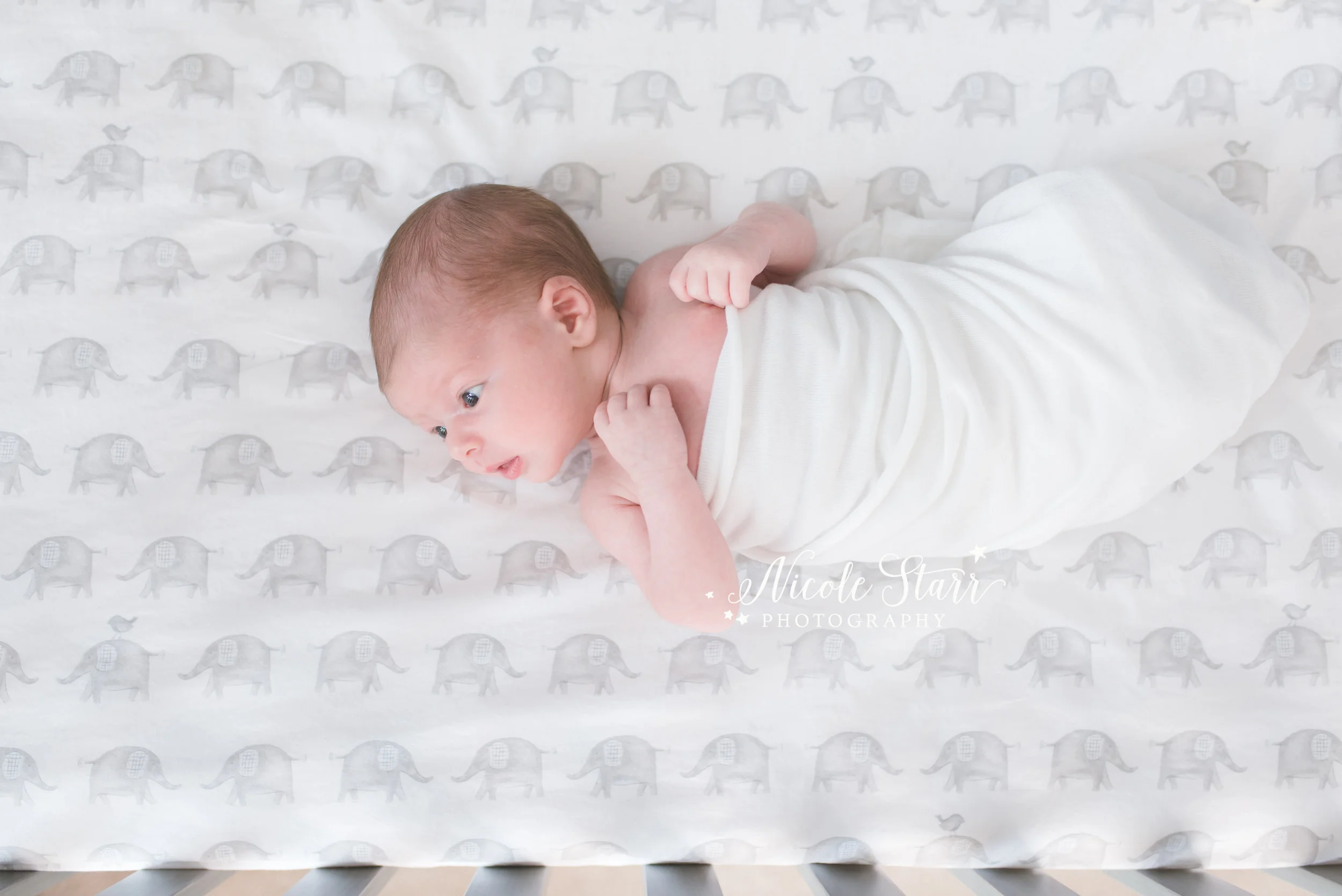 Nicole Starr Photography | Saratoga Springs Newborn Photographer | Boston Newborn Photographer | Saratoga Springs Lifestyle Newborn Photographer | Boston Lifestyle Newborn Photographer