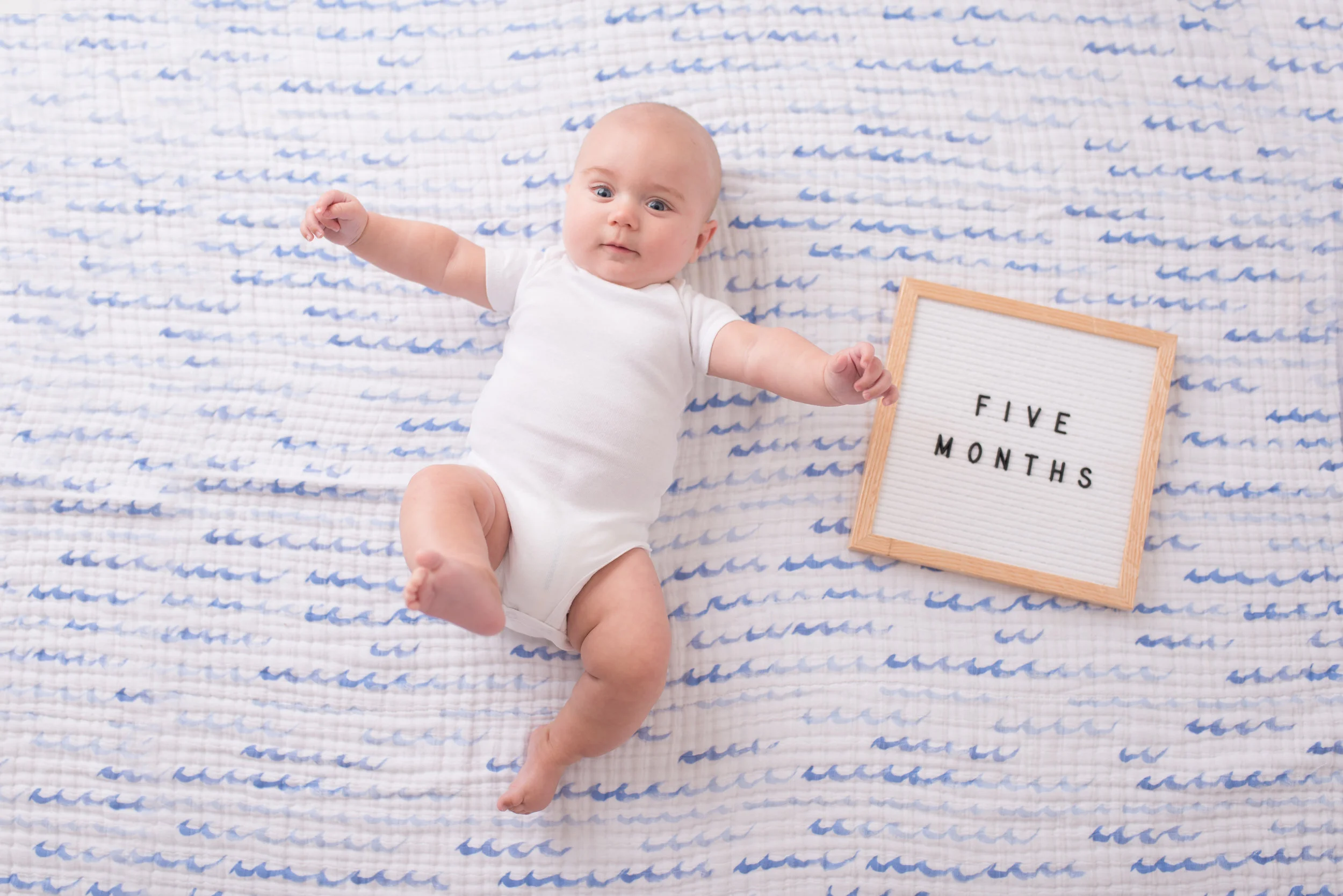 Nicole Starr Photography  |  Saratoga Springs Albany Baby Photographer
