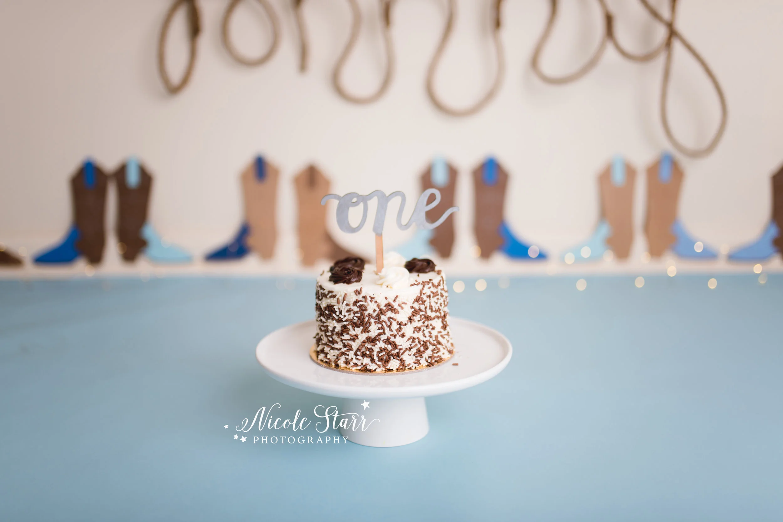Nicole Starr Photography | Saratoga Springs Cake Smash Photographer | Boston Cake Smash Photographer | Saratoga Springs Family Photographer | Boston Family Photographer