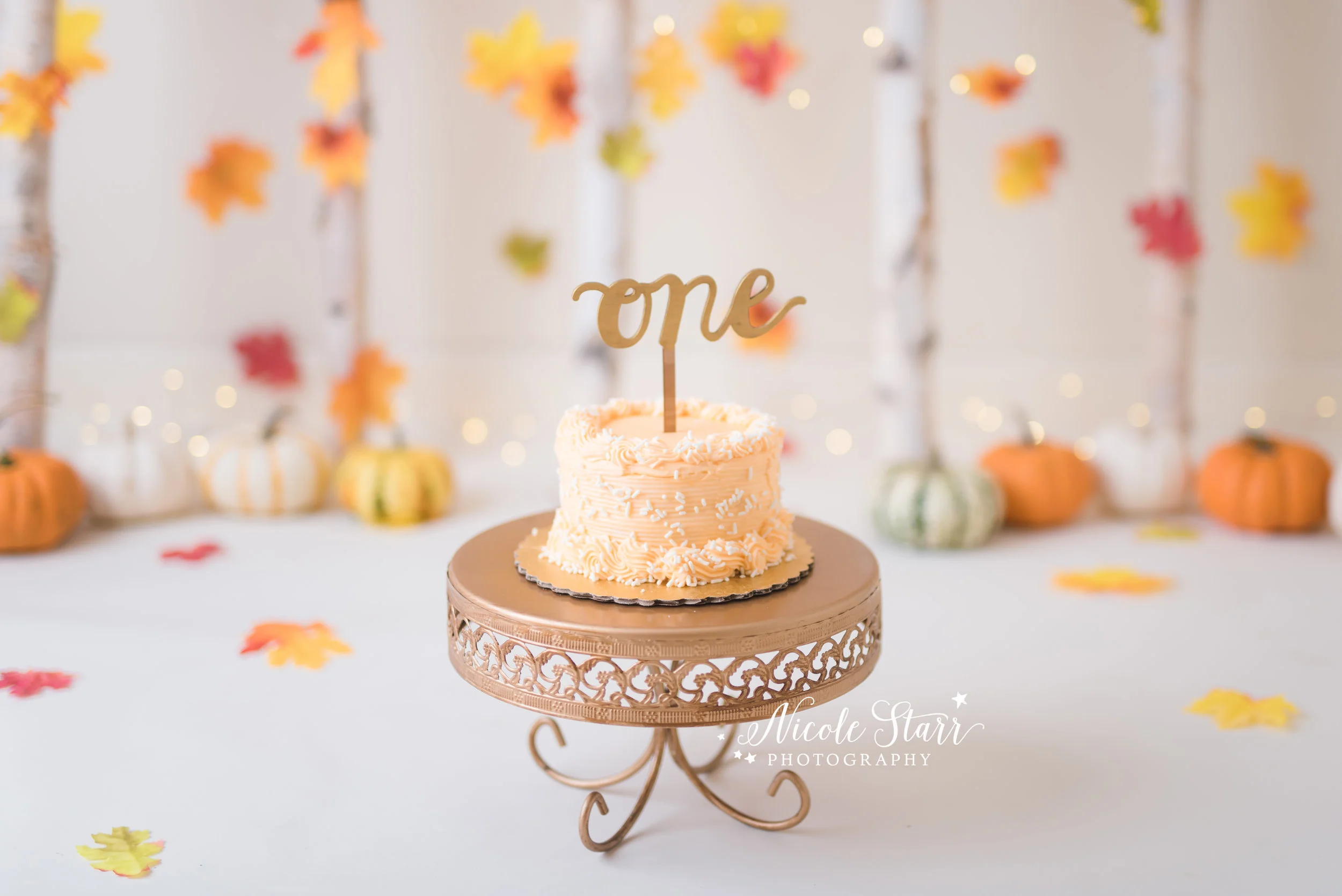 Nicole Starr Photography | Saratoga Springs Cake Smash Photographer | Boston Cake Smash Photographer | Saratoga Springs Family Photographer | Boston Family Photographer
