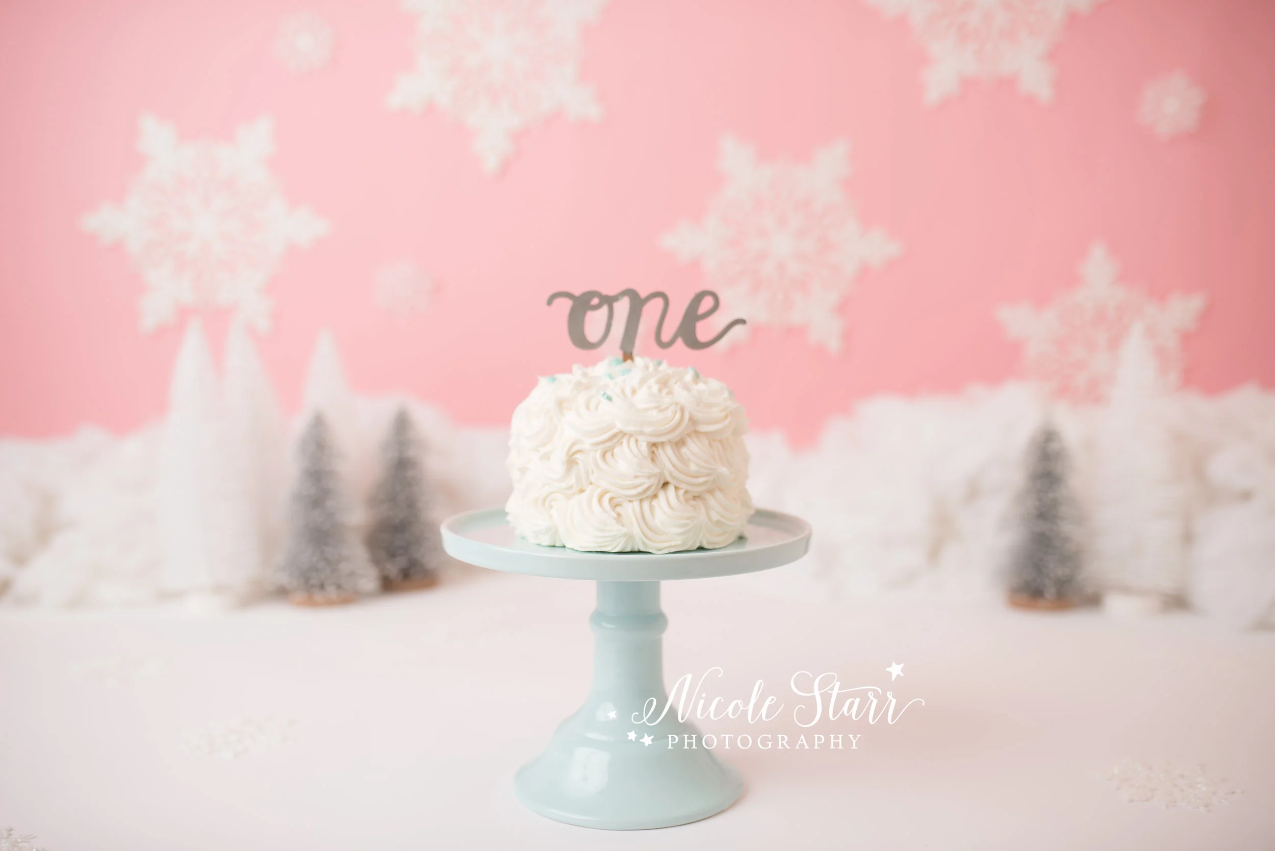 Nicole Starr Photography | Saratoga Springs Cake Smash Photographer | Boston Cake Smash Photographer | Saratoga Springs Family Photographer | Boston Family Photographer  Delmar NY Cake Smash Photographer | Loudonville NY Cake Smash Photographer